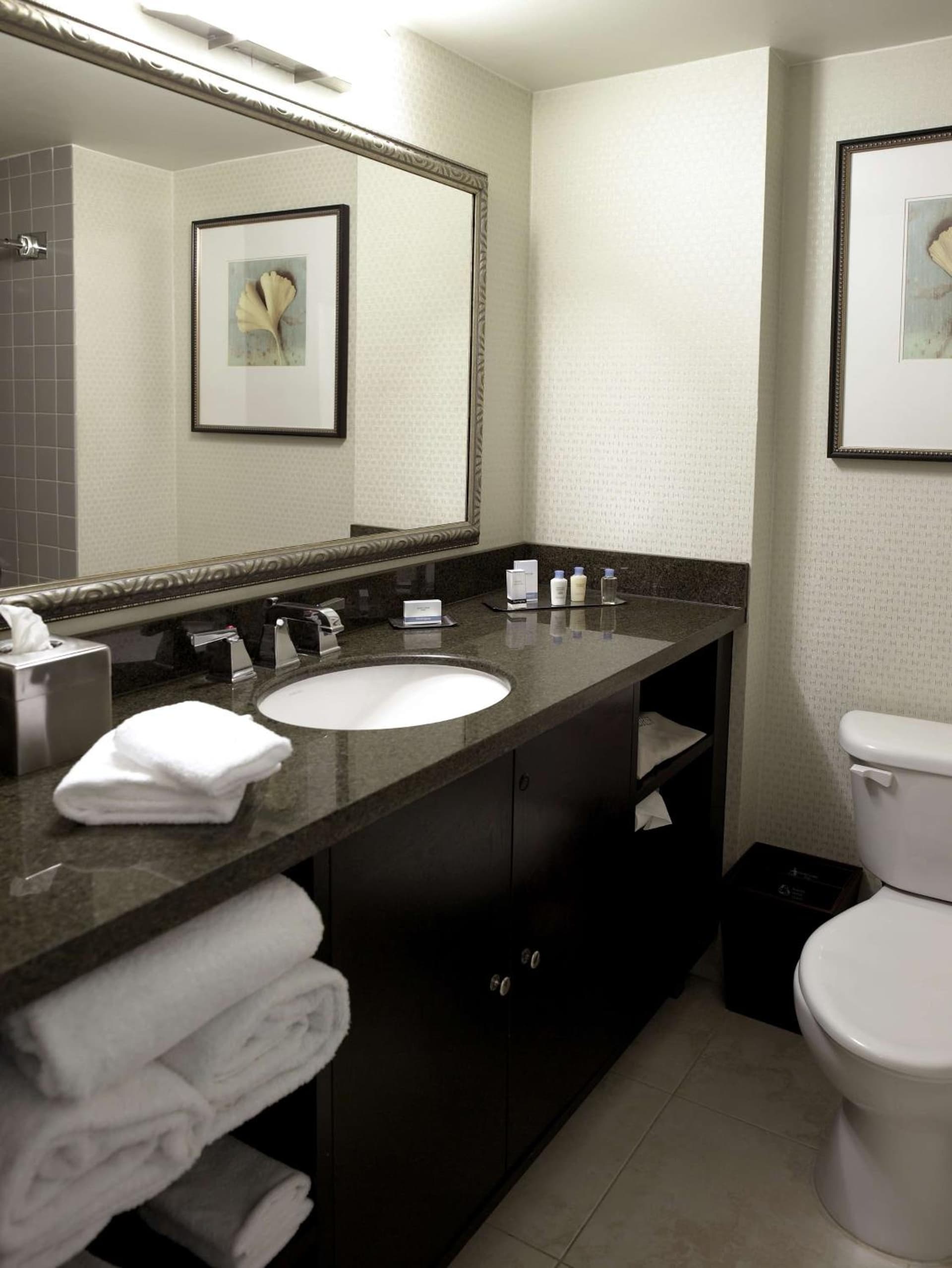 DoubleTree by Hilton Charlotte Airport gallery photo in Charlotte, NC — image 14