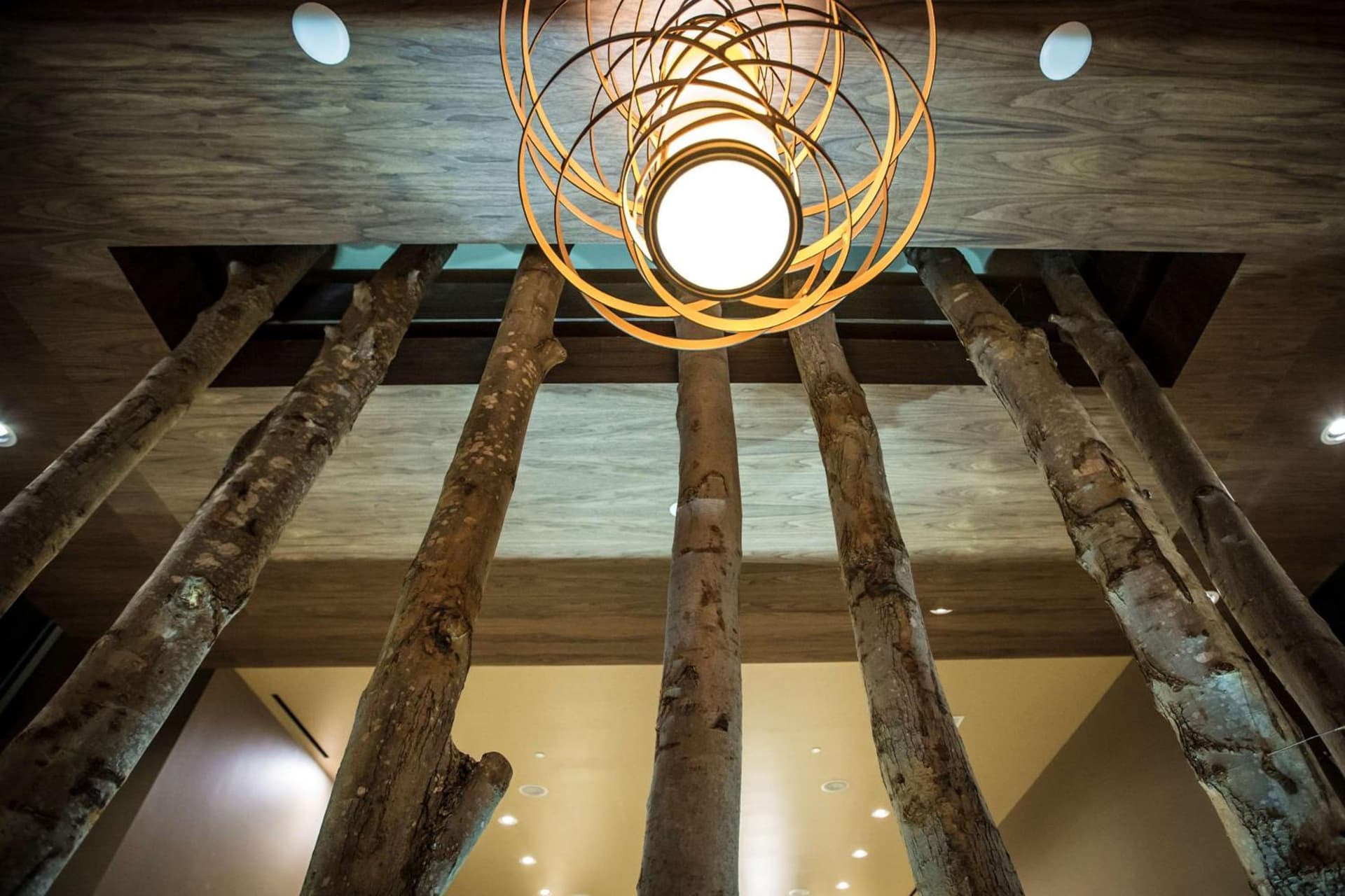 Homewood Suites by Hilton Charlotte Ballantyne, NC gallery photo in Charlotte, NC — image 18