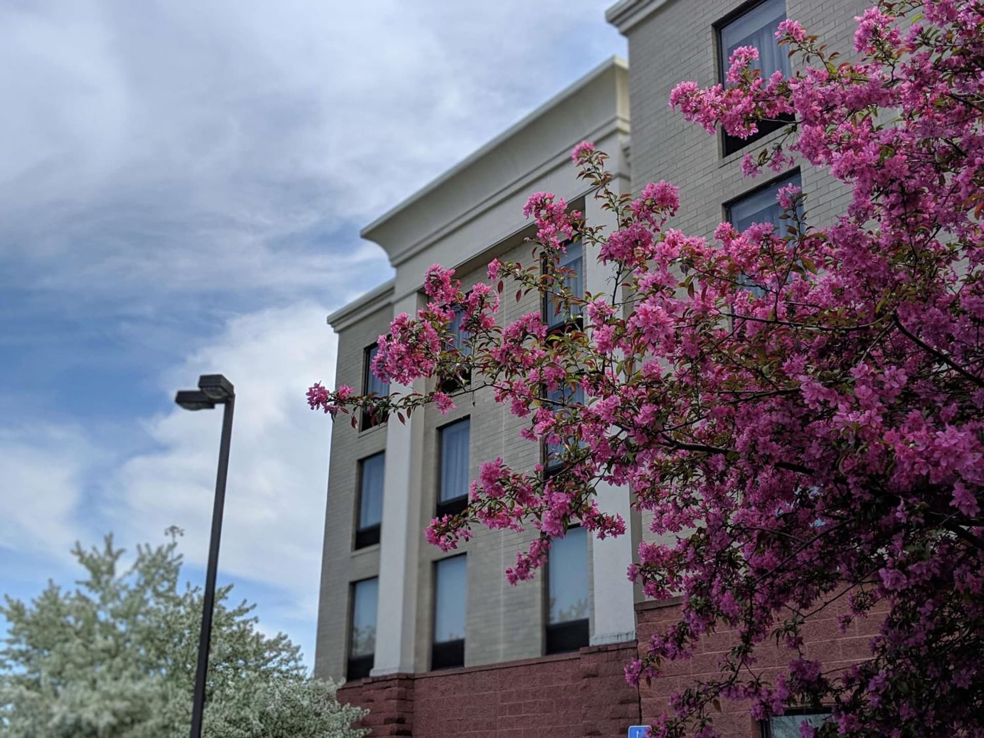 Hampton Inn & Suites Cincinnati-Union Centre gallery photo in West Chester, OH — image 49