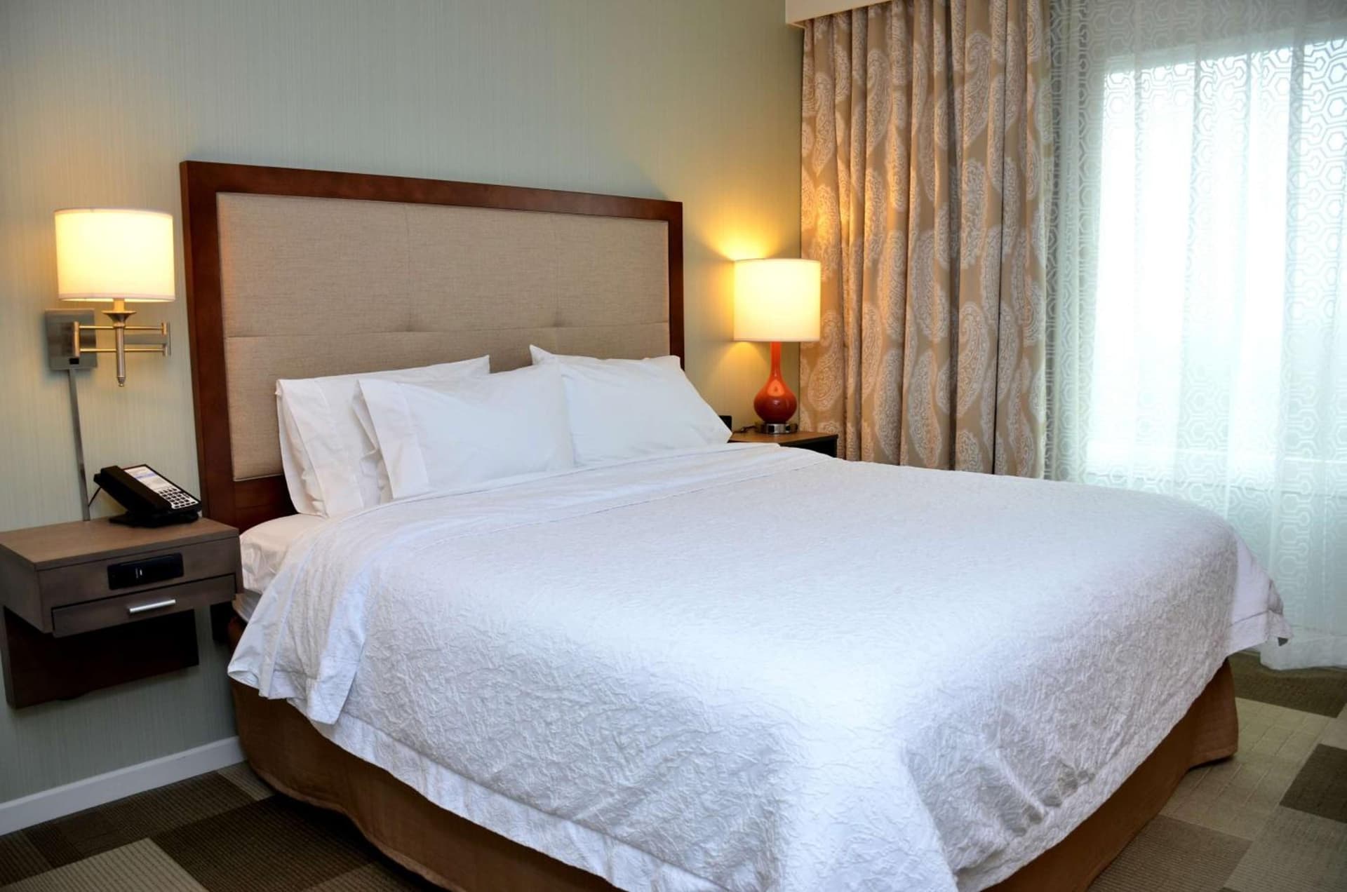 Hampton Inn & Suites - DeLand gallery photo in DeLand, FL — image 16