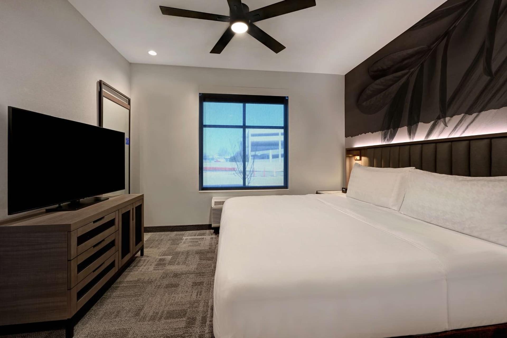 Homewood Suites by Hilton Dallas The Colony gallery photo in The Colony, TX — image 31