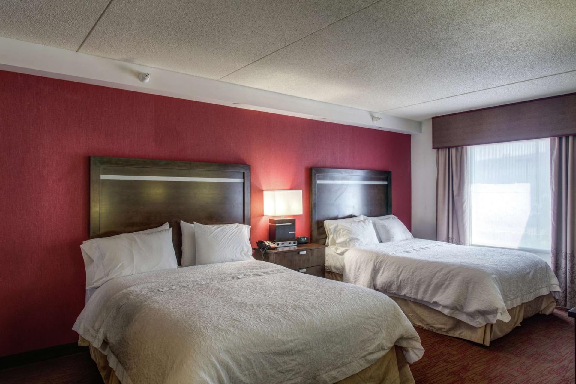 Hampton Inn & Suites Detroit/Airport Romulus gallery photo in Romulus, MI — image 7