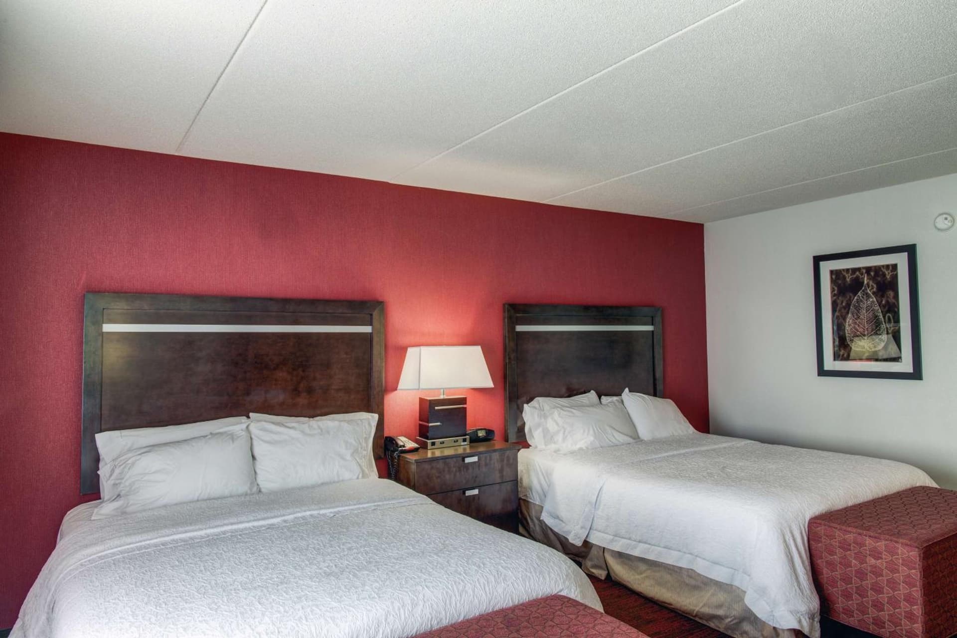Hampton Inn & Suites Detroit/Airport Romulus gallery photo in Romulus, MI — image 8
