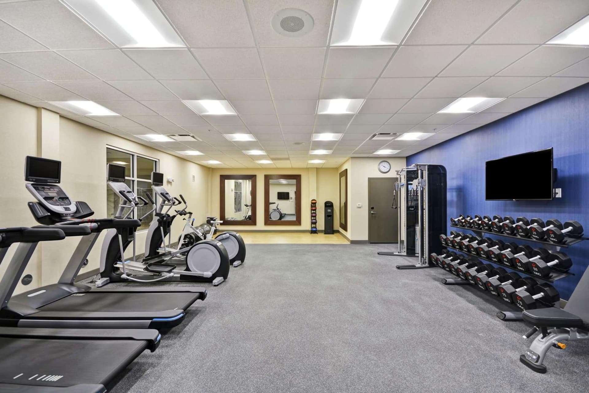 Homewood Suites By Hilton Warren Detroit gallery photo in Warren, MI — image 14