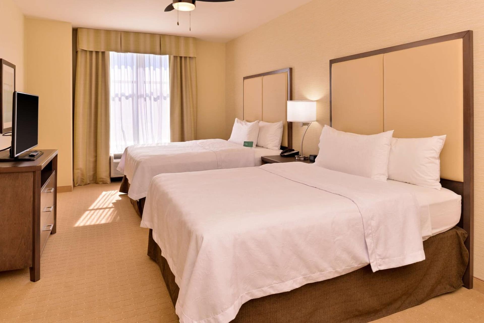 Homewood Suites by Hilton Houma gallery photo in Houma, LA — image 6