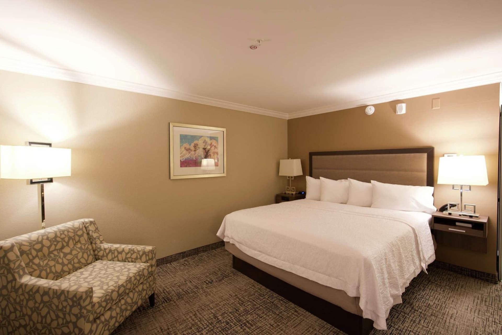 Hampton Inn & Suites Ridgeland gallery photo in Ridgeland, MS — image 7