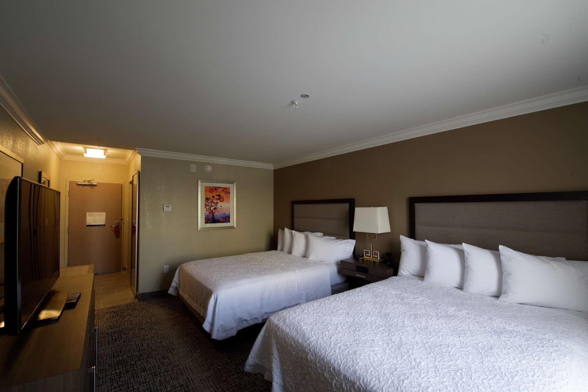 Hampton Inn & Suites Ridgeland gallery photo in Ridgeland, MS — image 6
