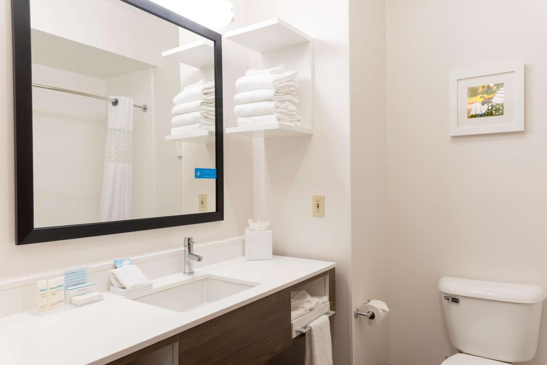 Hampton Inn & Suites East Lansing gallery photo in Okemos, MI — image 21