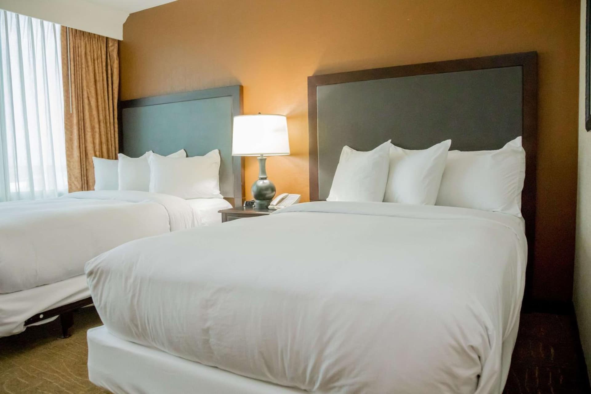 Embassy Suites by Hilton Lexington Green property views in Lexington, KY — gallery photo 3