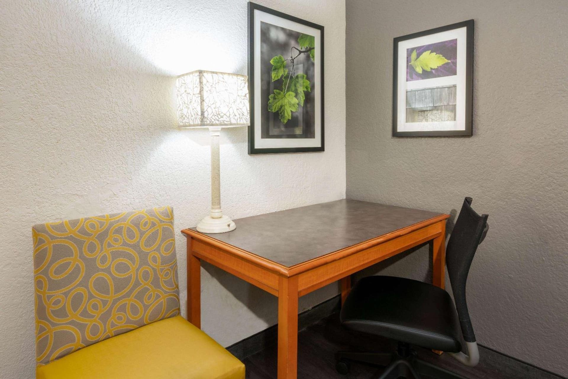 Super 8 by Wyndham The Woodlands North gallery photo in The Woodlands, TX — image 30