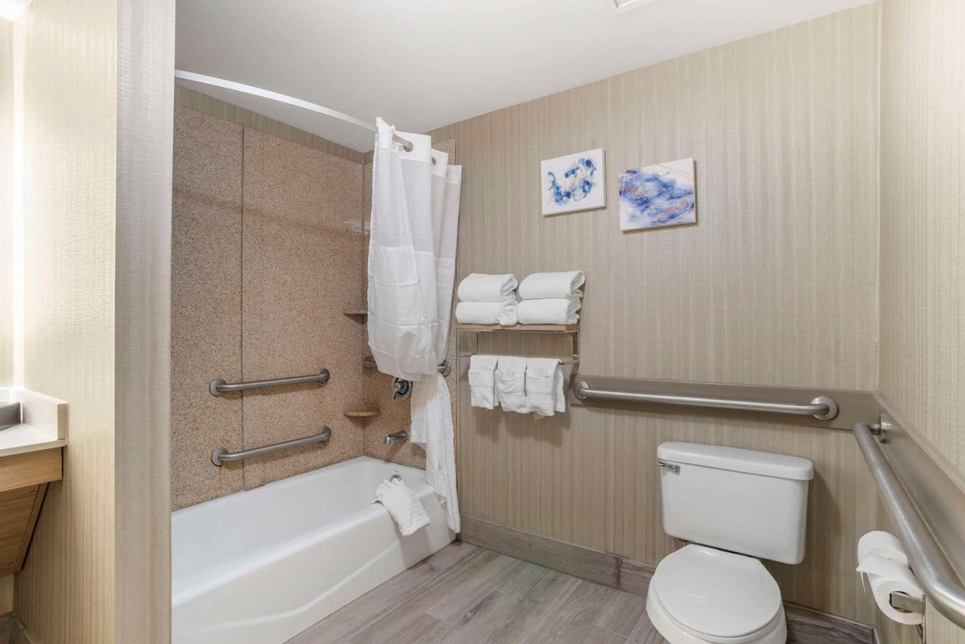 Comfort Suites At WestGate Mall gallery photo in Spartanburg, SC — image 17