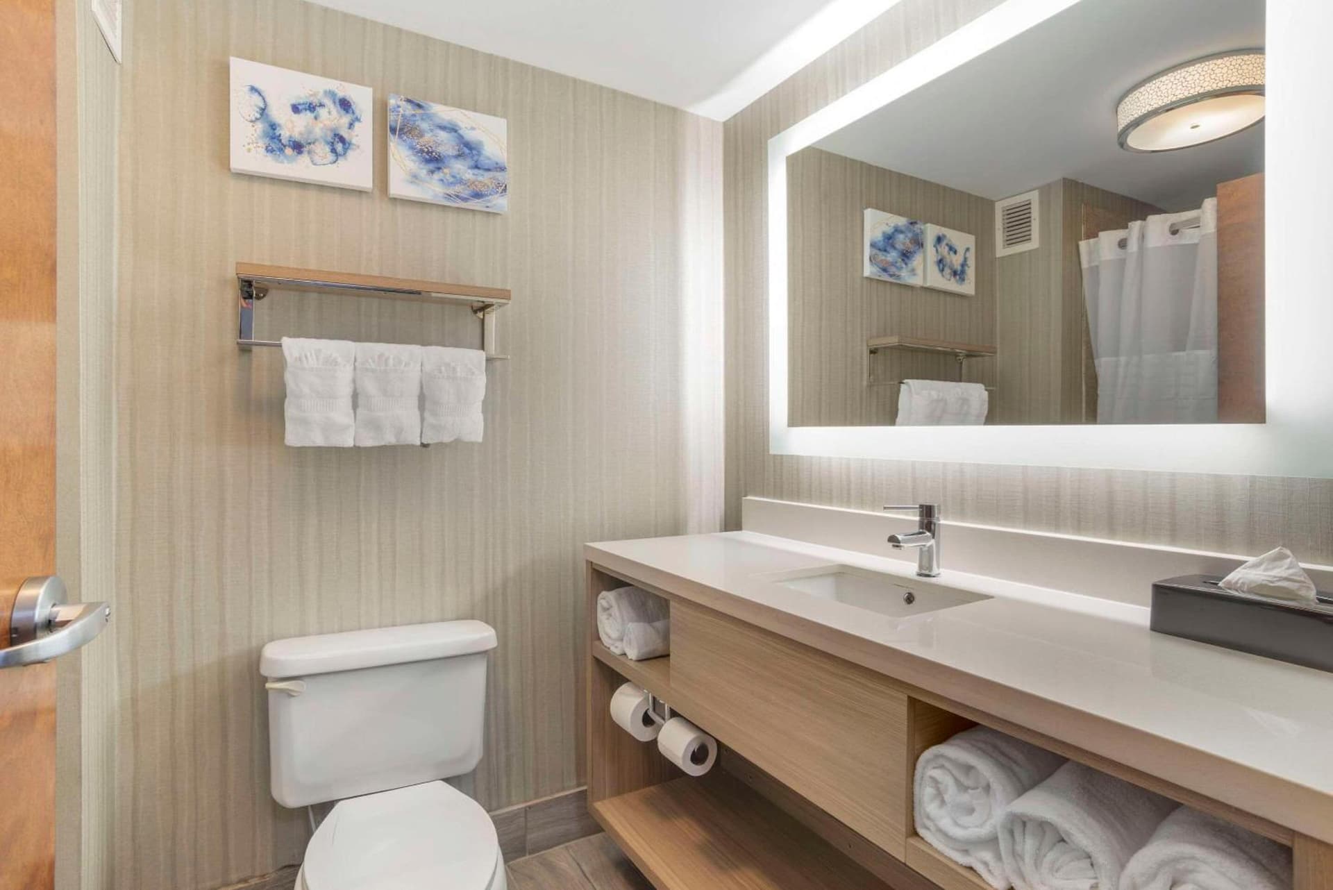 Comfort Suites At WestGate Mall gallery photo in Spartanburg, SC — image 15
