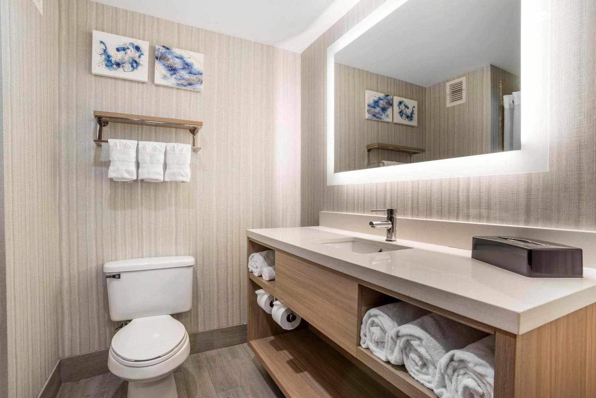 Comfort Suites At WestGate Mall gallery photo in Spartanburg, SC — image 5