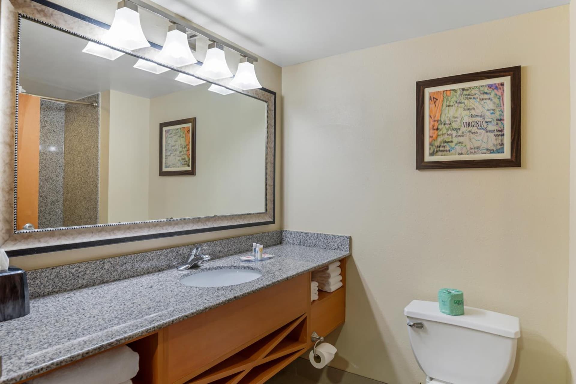 Comfort Suites At Virginia Center Commons gallery photo in Richmond, VA — image 60
