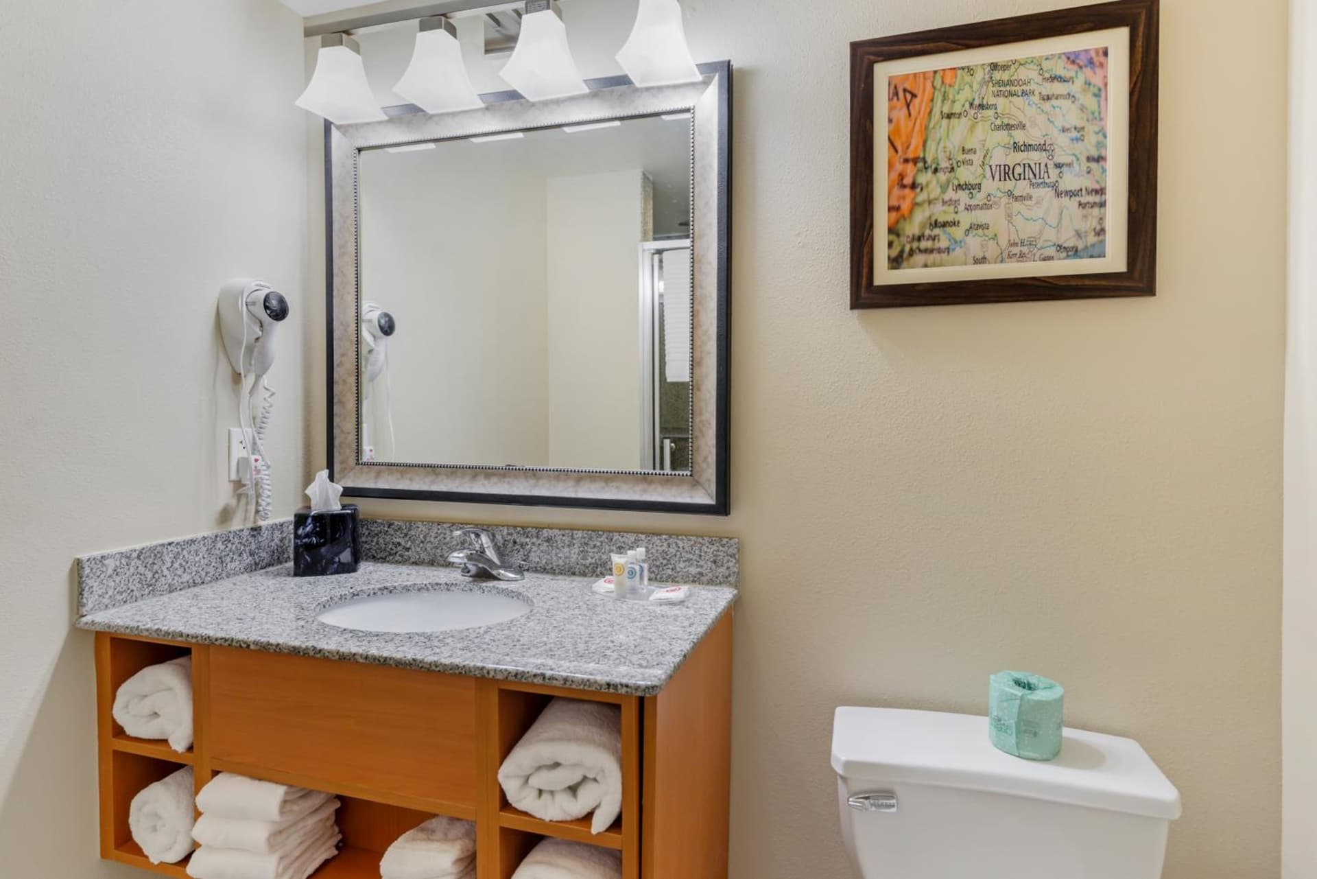 Comfort Suites At Virginia Center Commons gallery photo in Richmond, VA — image 70