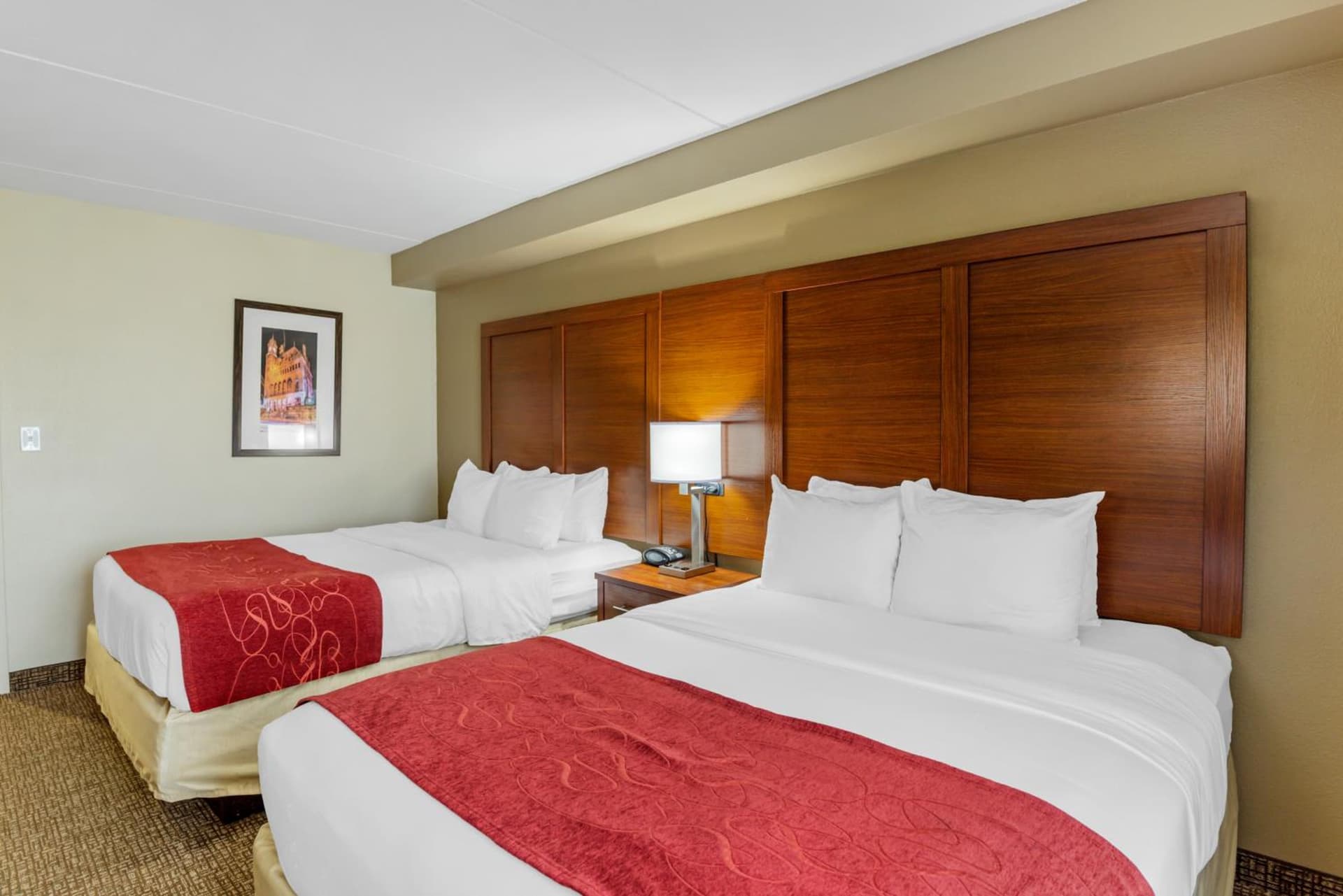 Comfort Suites At Virginia Center Commons gallery photo in Richmond, VA — image 83