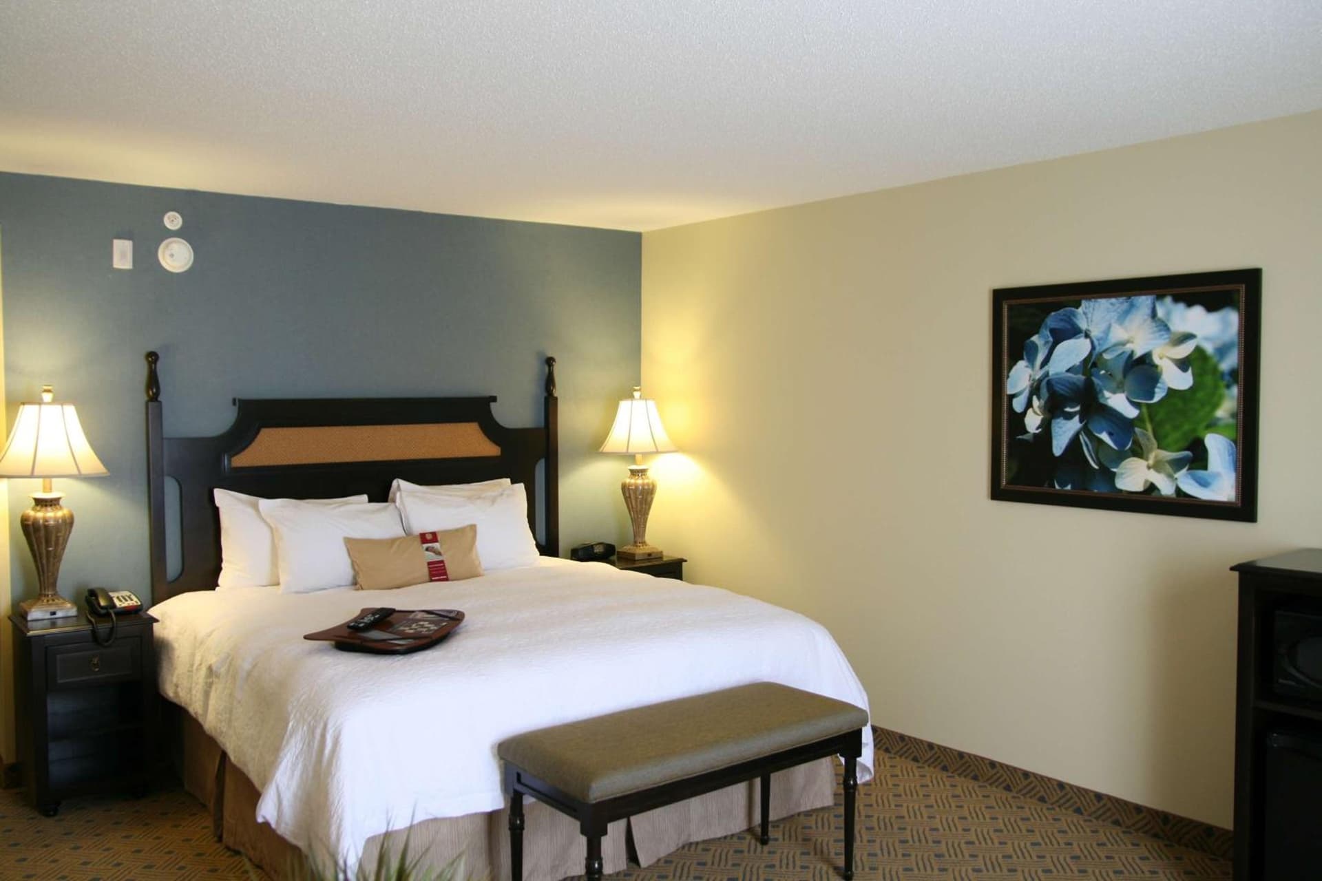Hampton Inn Murrells Inlet/Myrtle Beach Area gallery photo in Myrtle Beach, SC — image 24