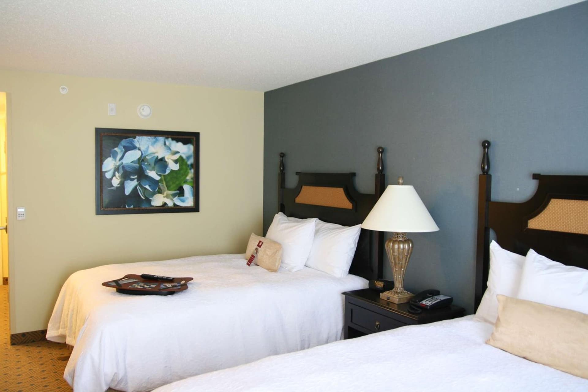 Hampton Inn Murrells Inlet/Myrtle Beach Area gallery photo in Myrtle Beach, SC — image 19