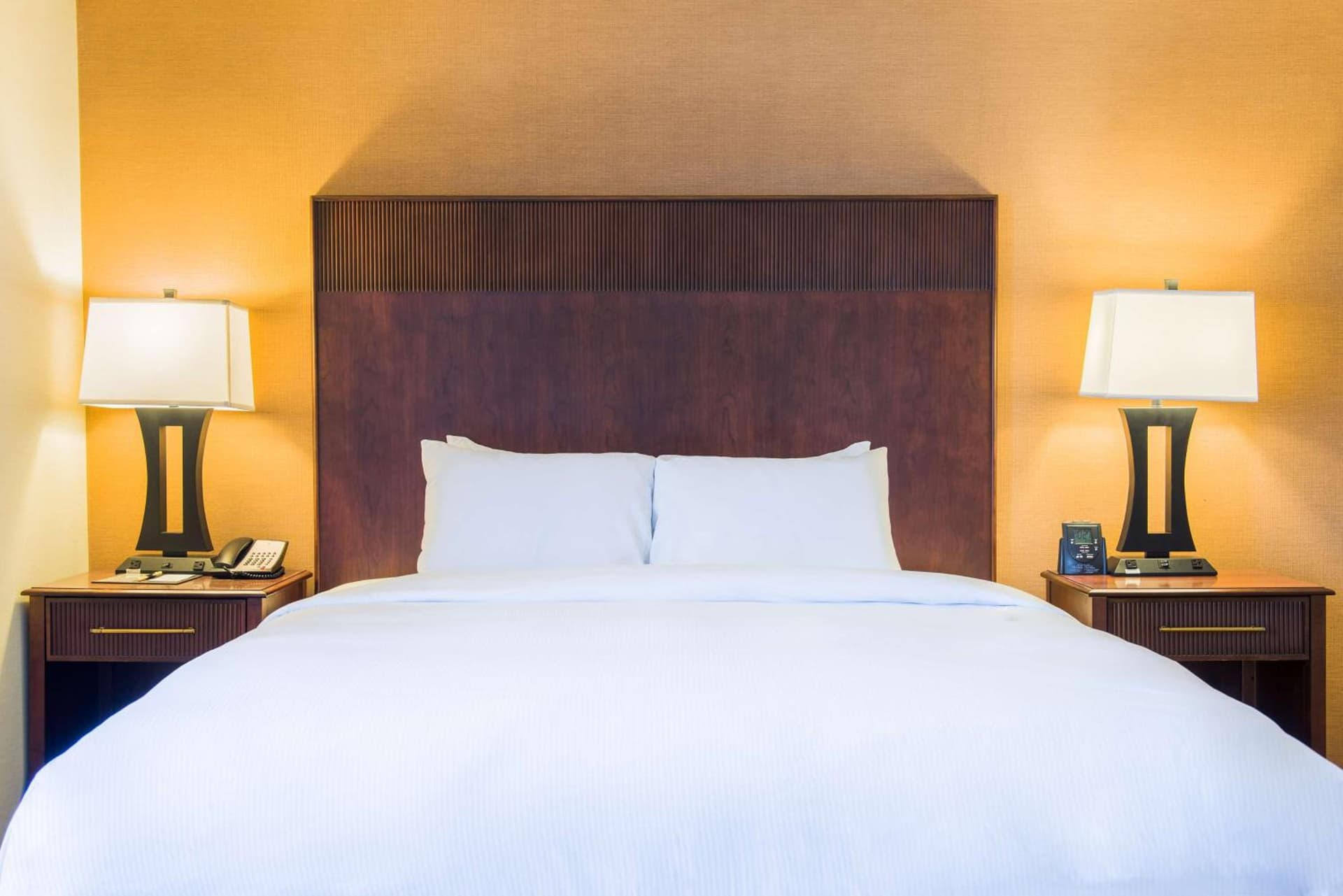 DoubleTree by Hilton Philadelphia Airport gallery photo in Philadelphia, PA — image 44