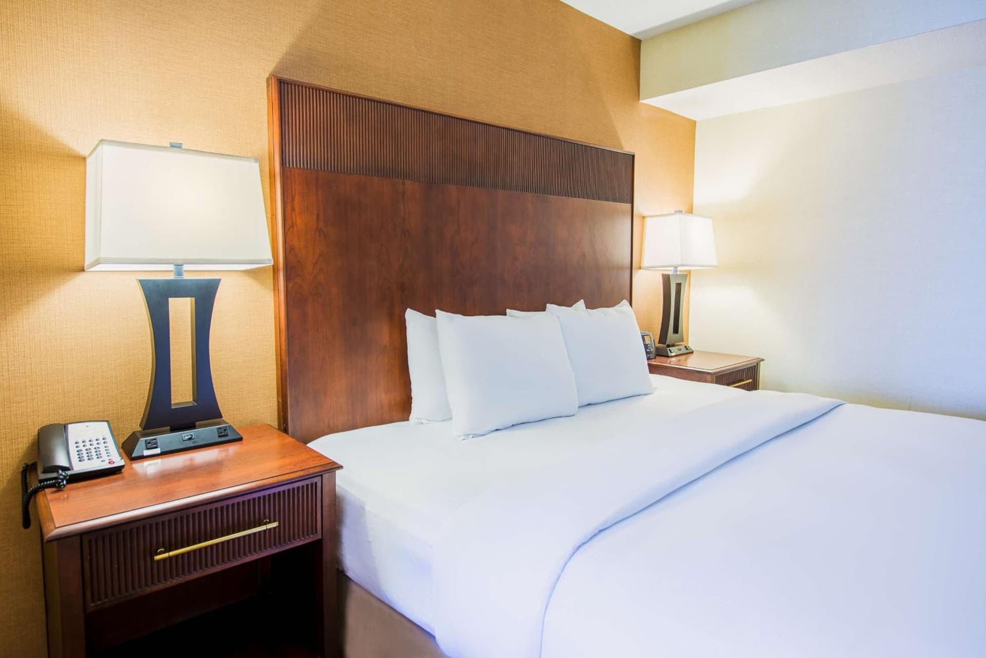 DoubleTree by Hilton Philadelphia Airport gallery photo in Philadelphia, PA — image 28