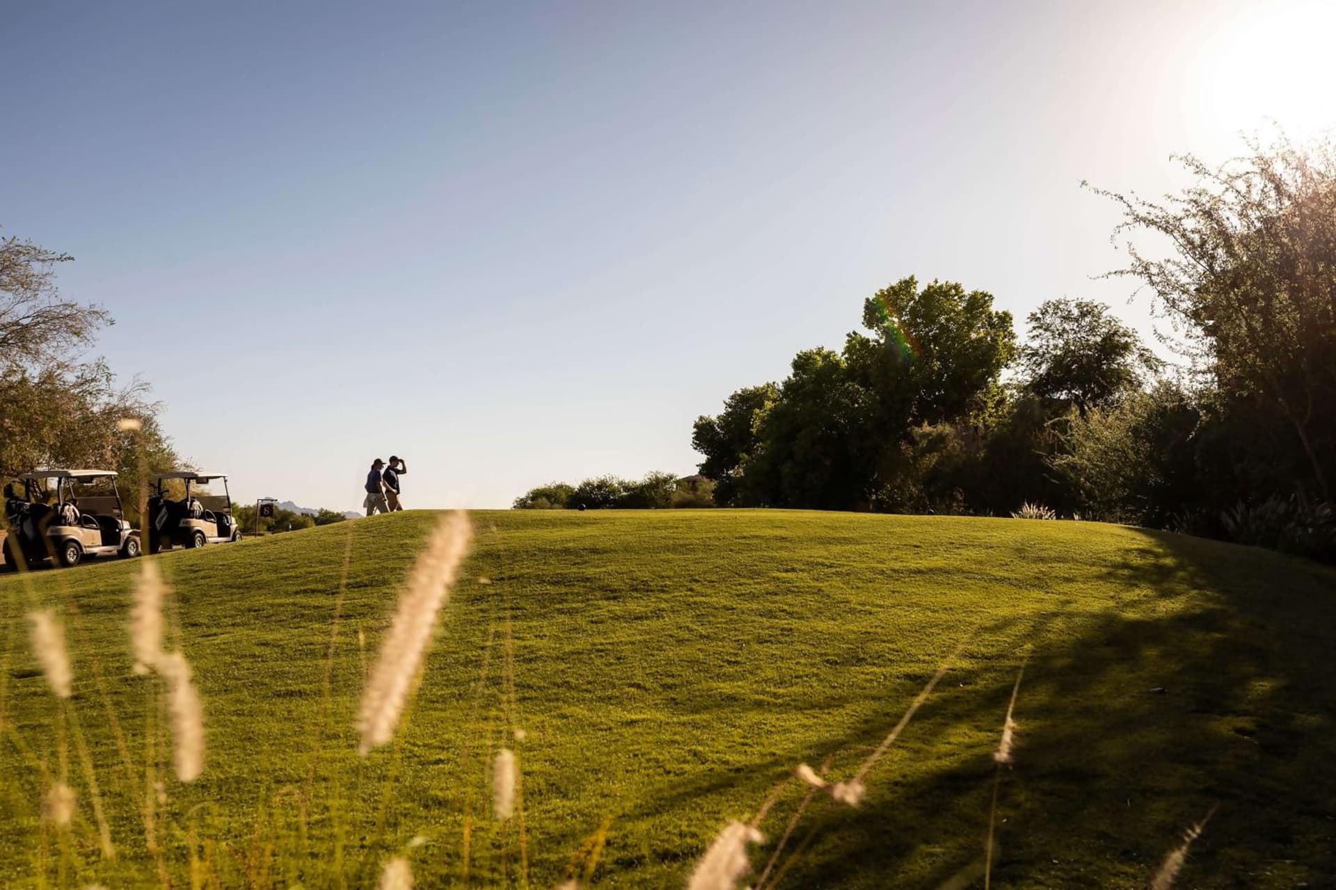 Hilton Vacation Club Scottsdale Links Resort gallery photo in Scottsdale, AZ — image 12
