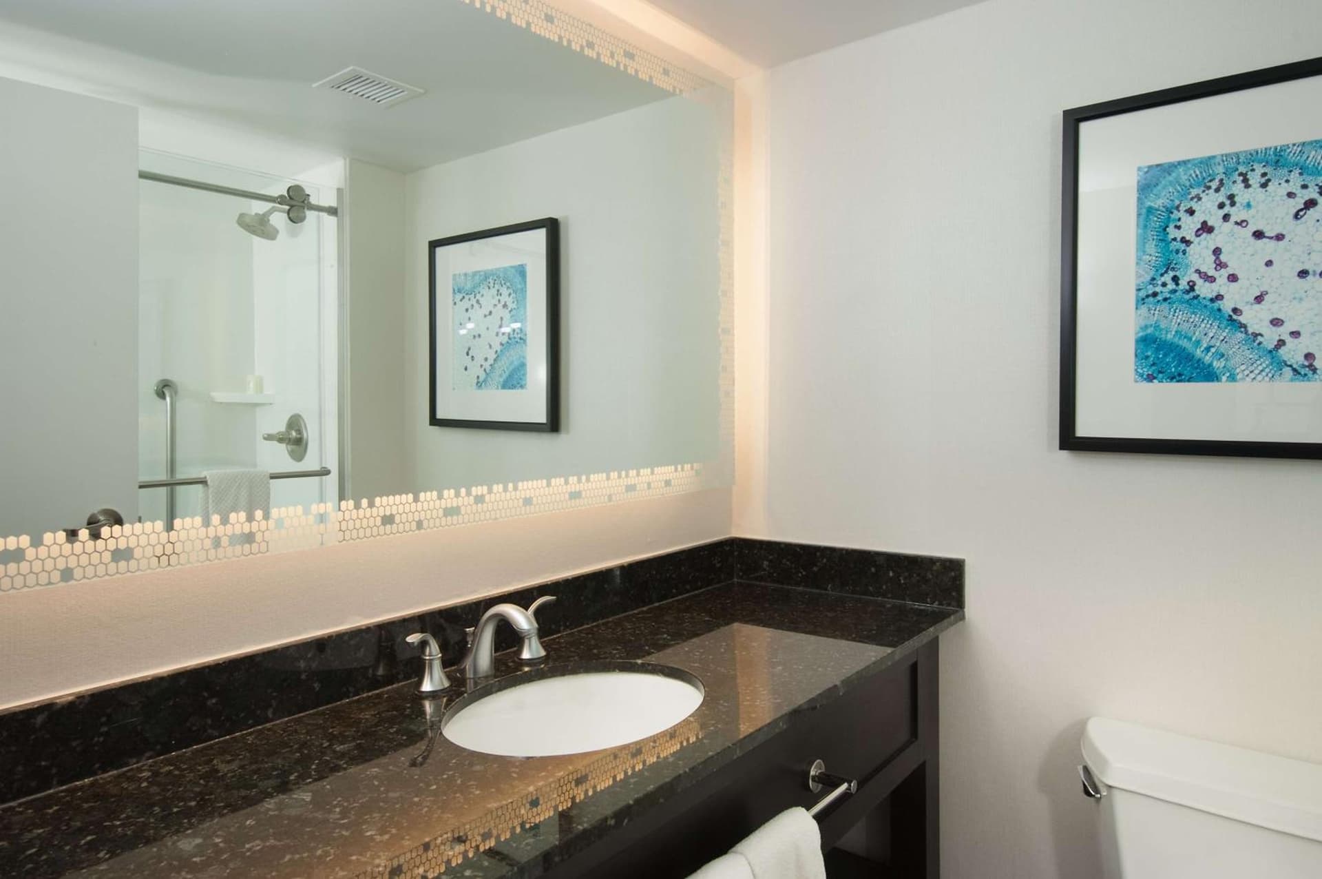 Embassy Suites by Hilton Raleigh Crabtree gallery photo in Raleigh, NC — image 56