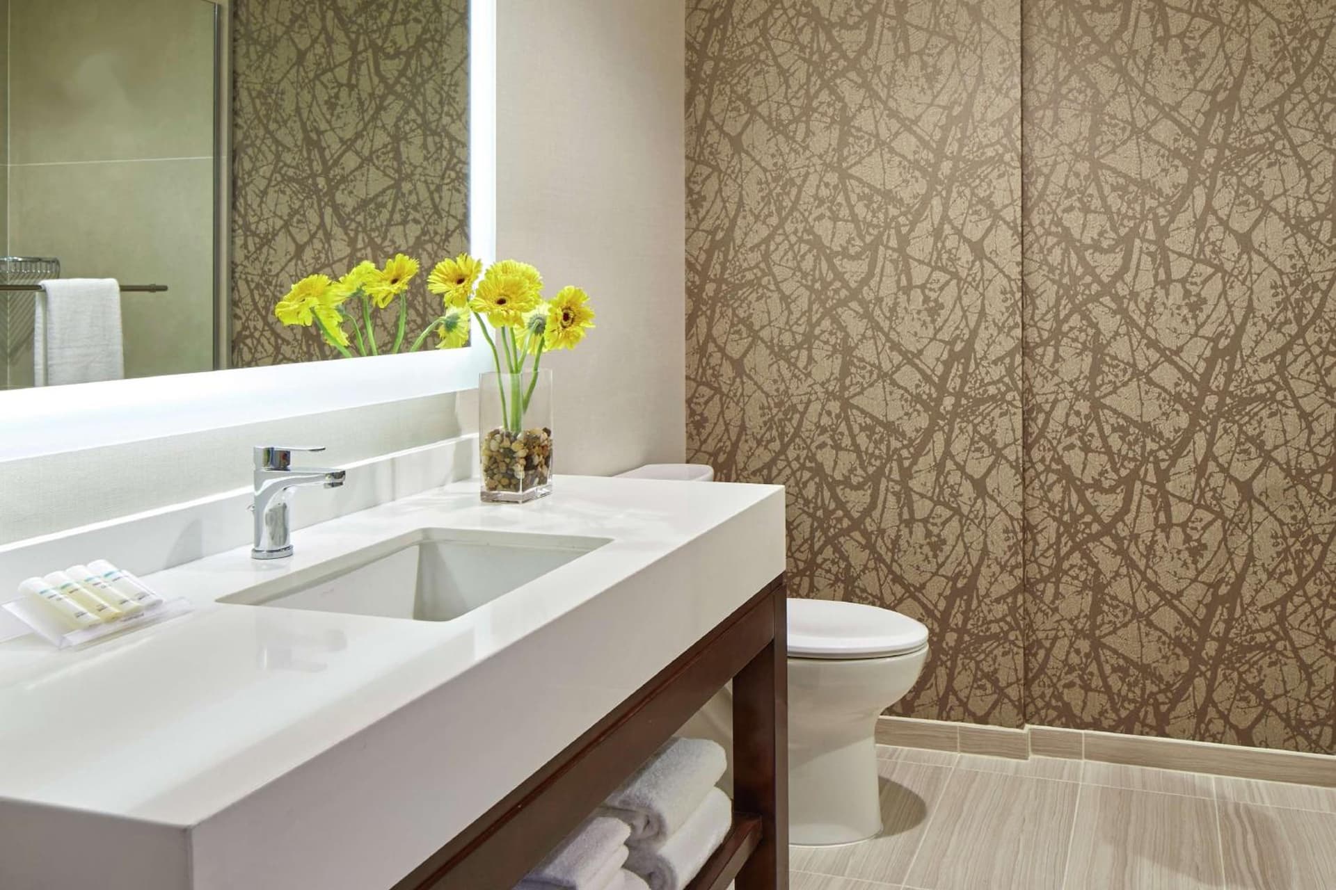 Hilton Garden Inn San Diego Mission Valley/Stadium gallery photo in San Diego, CA — image 18