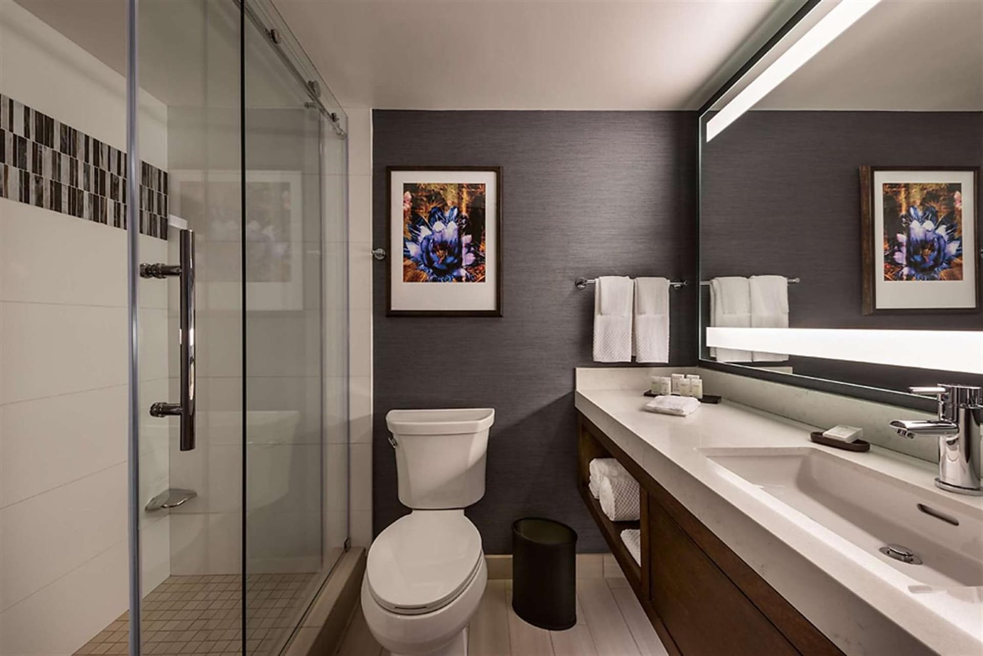 Embassy Suites by Hilton Scottsdale Resort gallery photo in Scottsdale, AZ — image 46