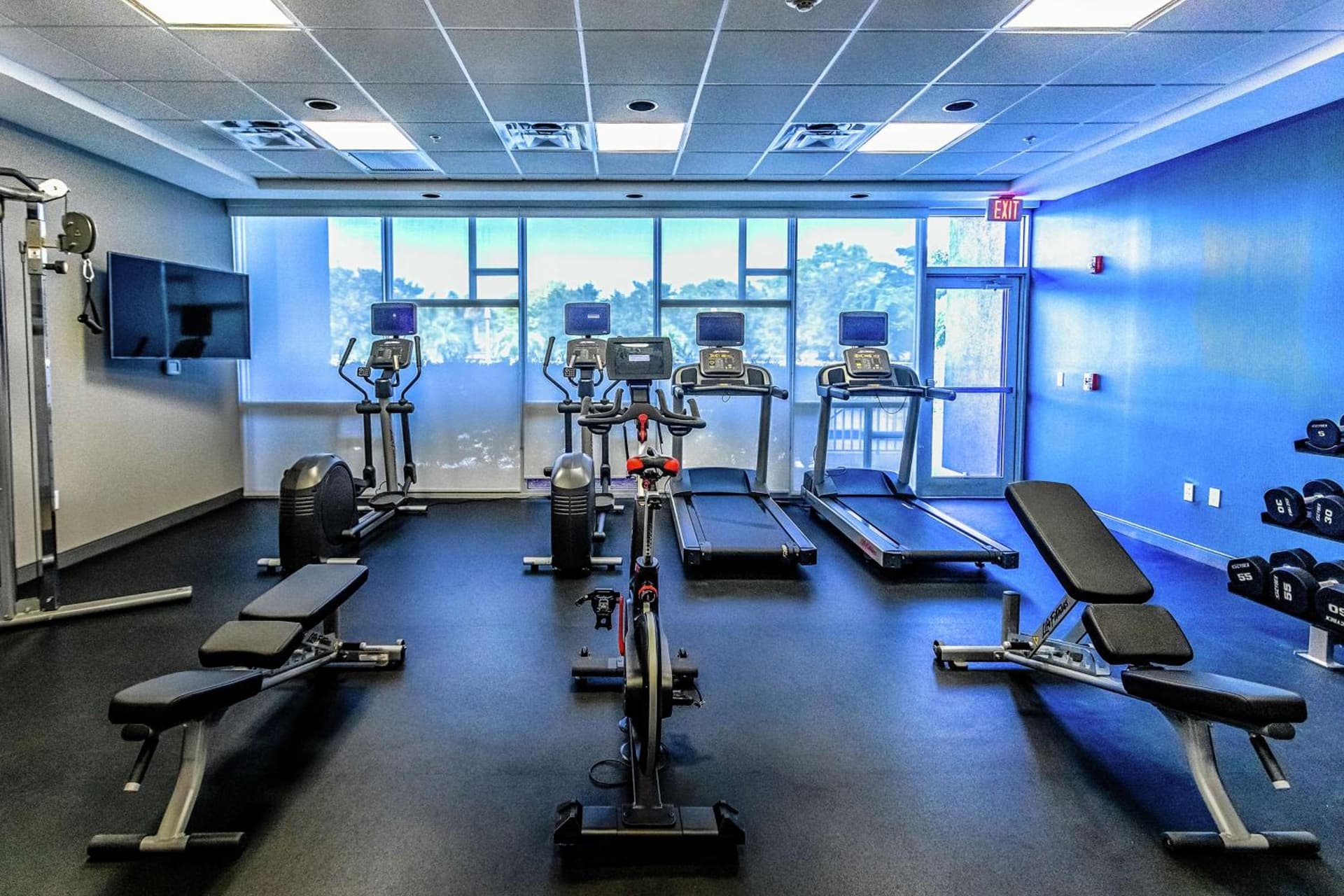 Hampton Inn & Suites Sarasota / Bradenton - Airport gallery photo in Sarasota, FL — image 79