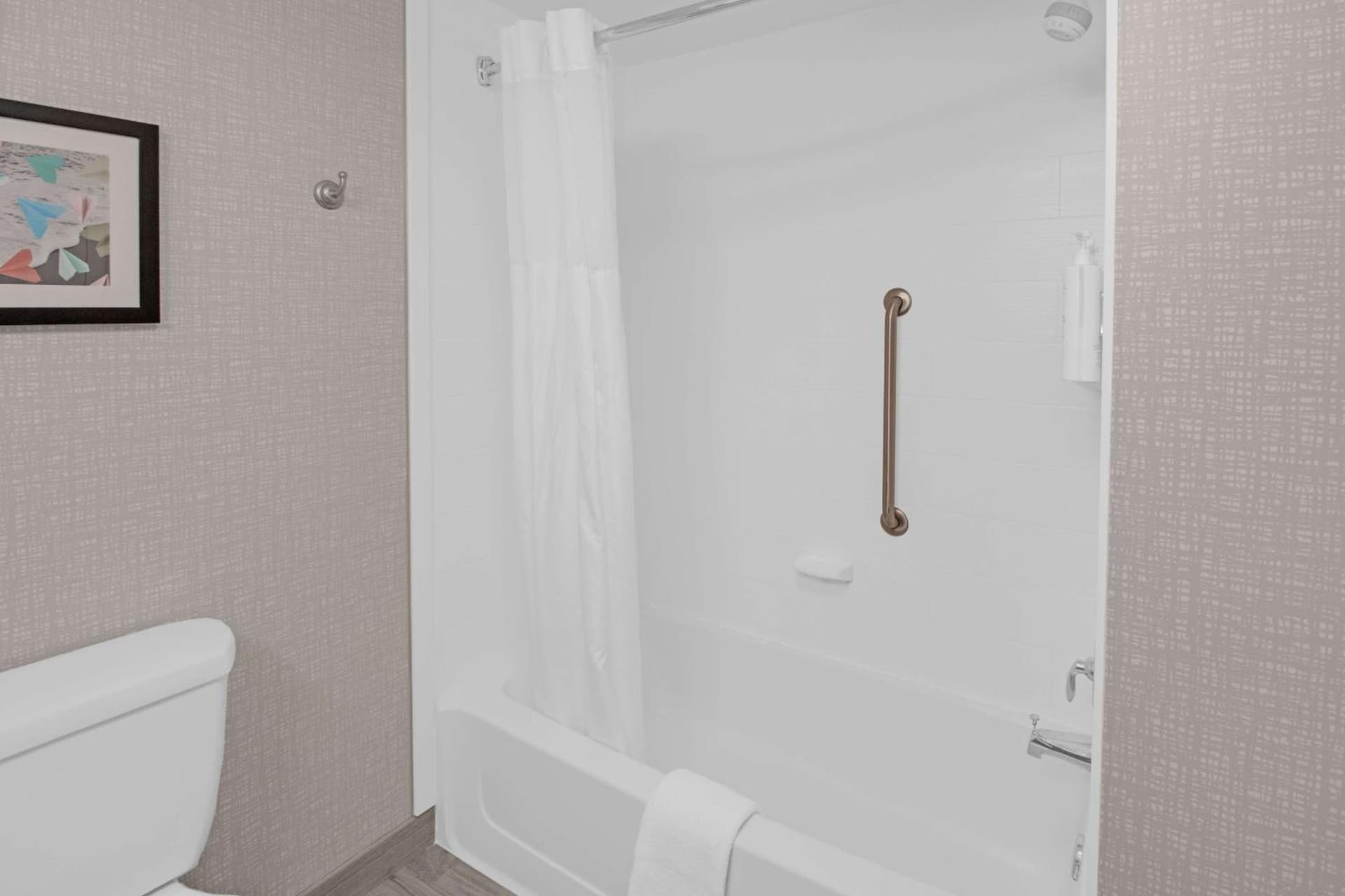 Hampton Inn & Suites Sarasota / Bradenton - Airport gallery photo in Sarasota, FL — image 75