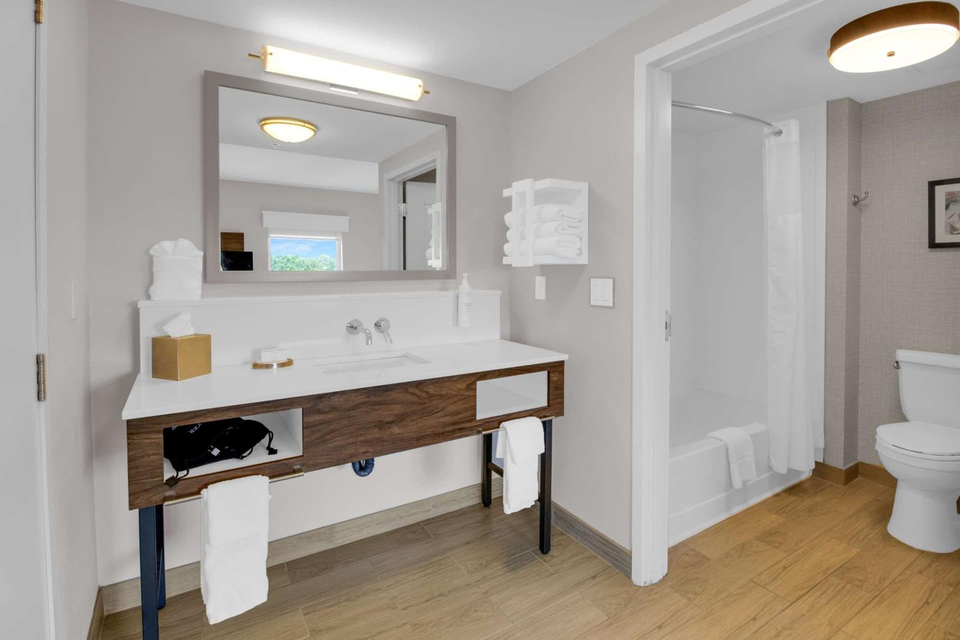 Hampton Inn & Suites Sarasota / Bradenton - Airport gallery photo in Sarasota, FL — image 87