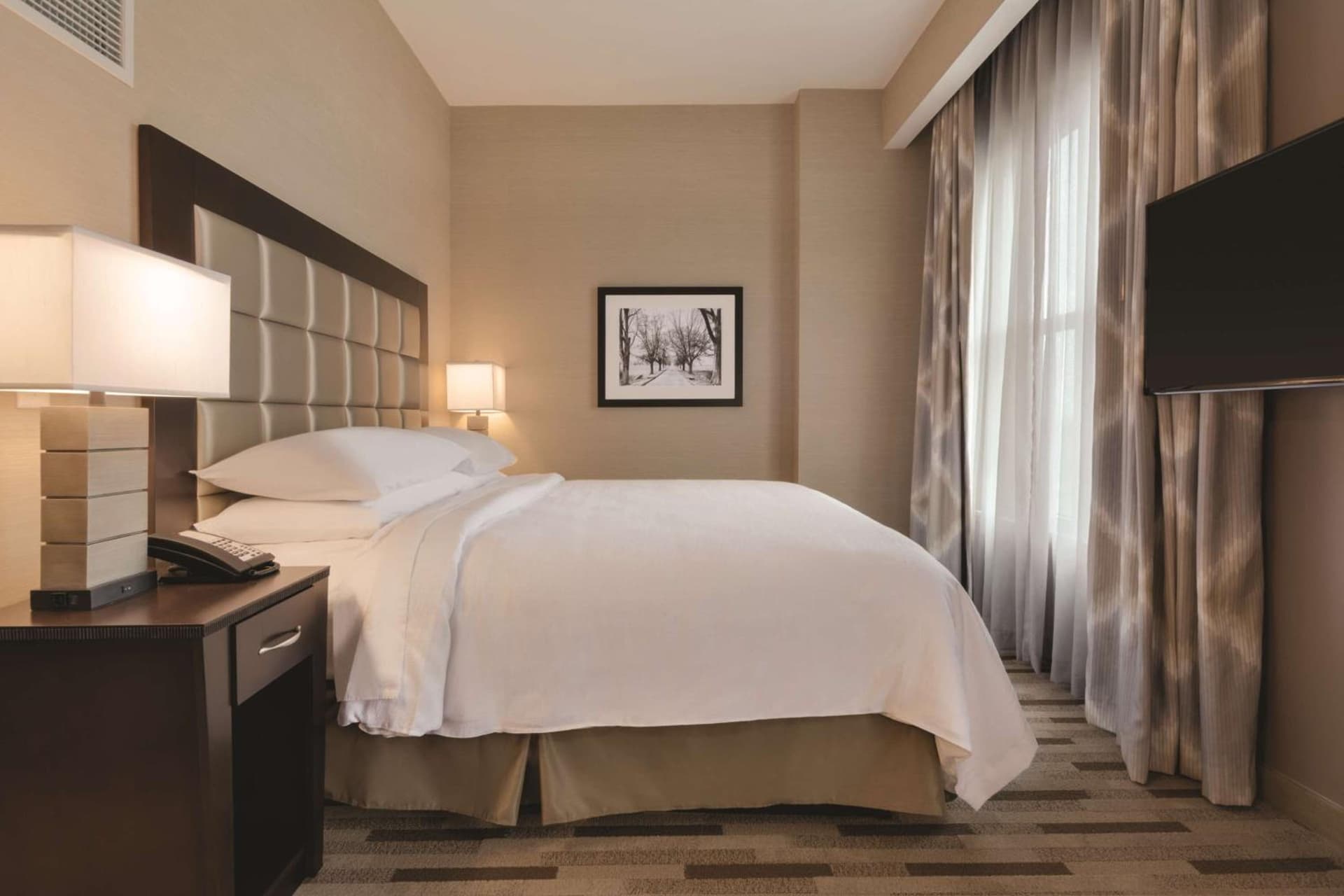 Embassy Suites by Hilton Tuscaloosa Alabama Downtown gallery photo in Tuscaloosa, AL — image 38