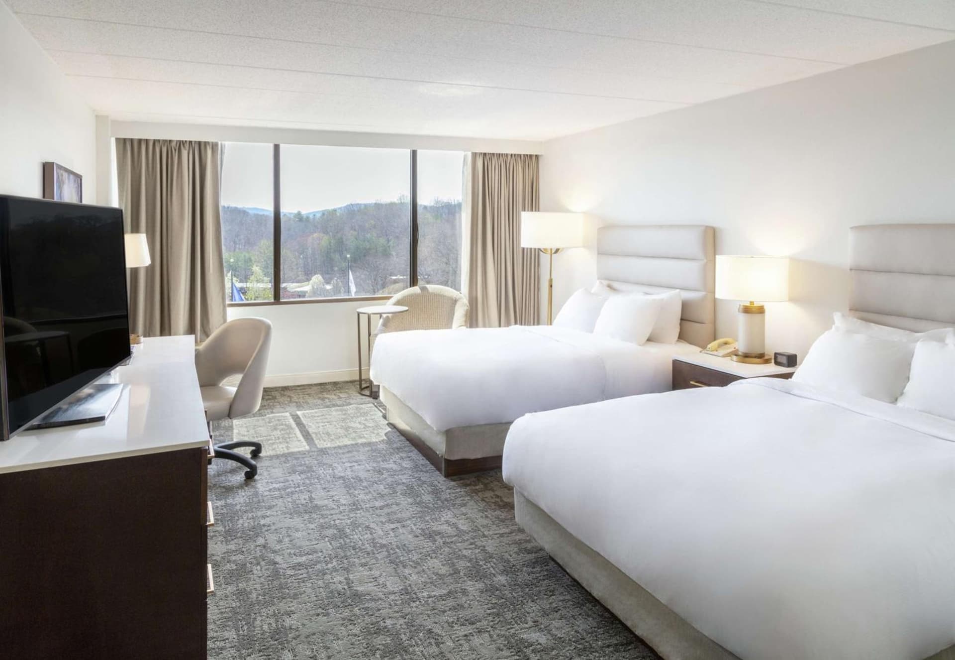 DoubleTree by Hilton Charlottesville gallery photo in Charlottesville, VA — image 15