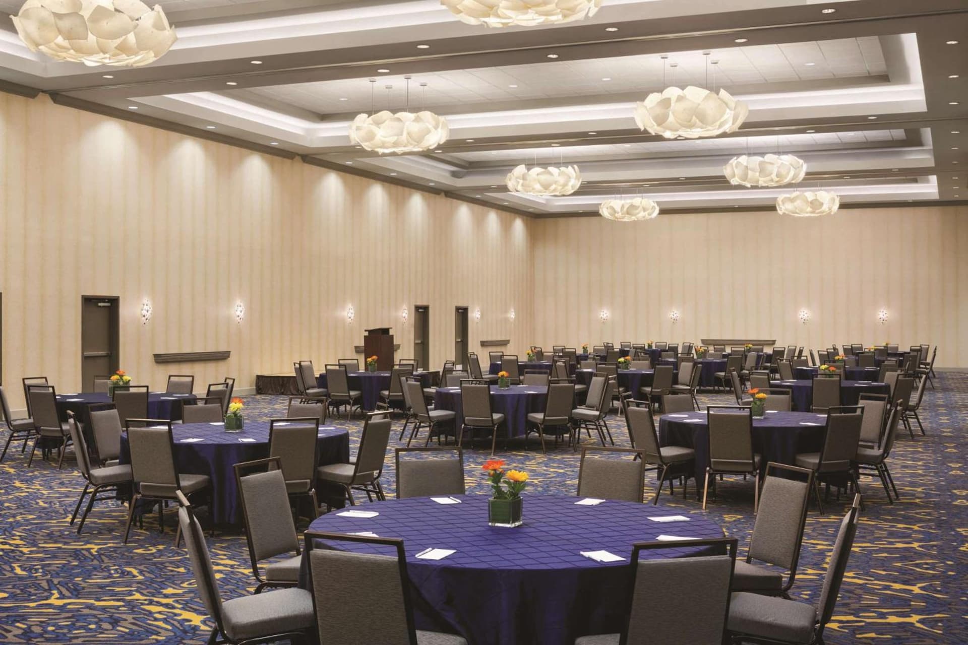 Embassy Suites by Hilton McAllen Convention Center gallery photo in McAllen, TX — image 42