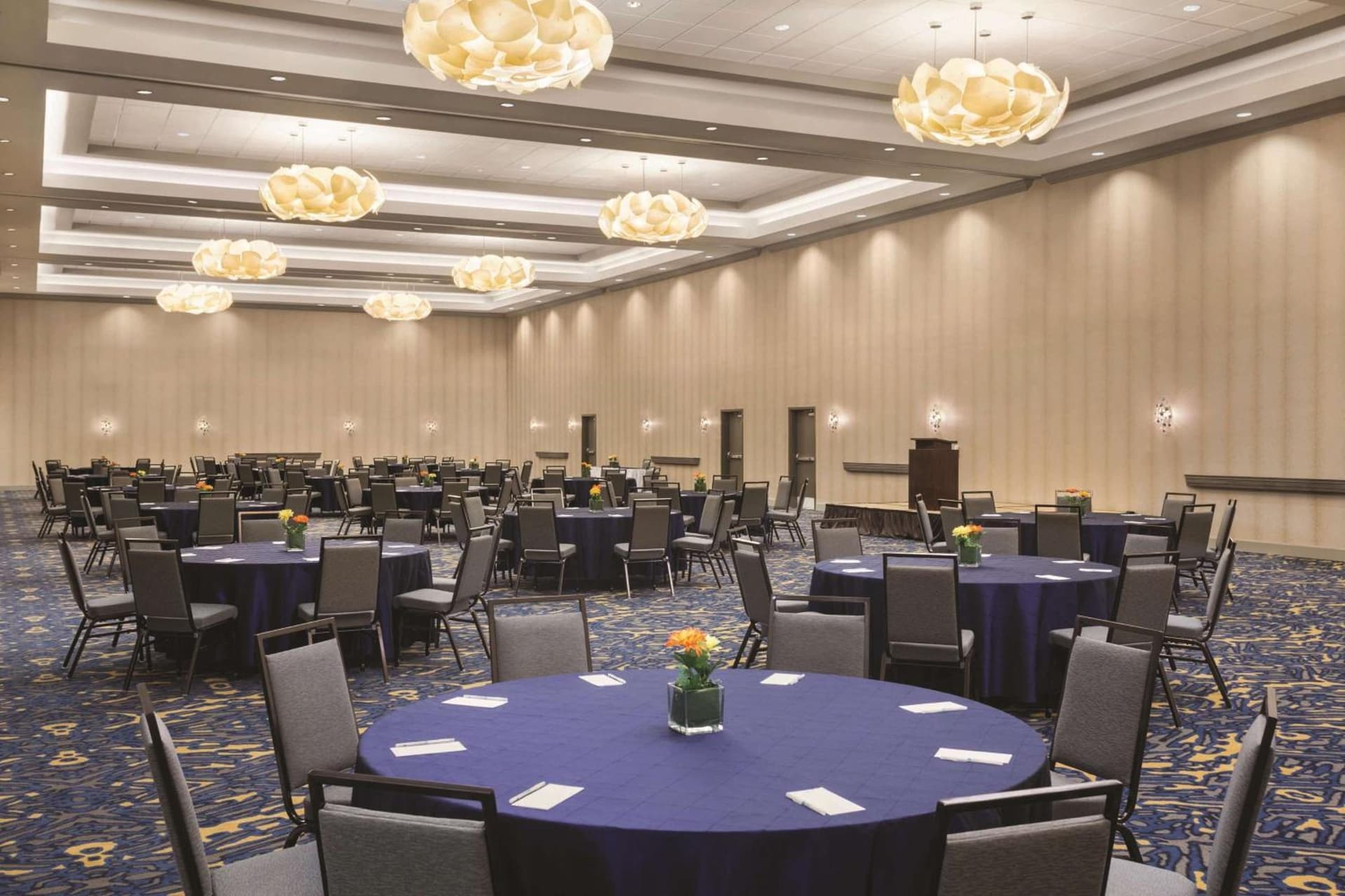 Embassy Suites by Hilton McAllen Convention Center gallery photo in McAllen, TX — image 5