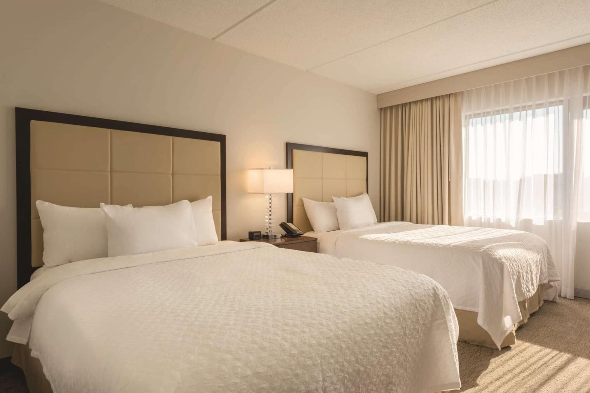 Embassy Suites by Hilton Milwaukee Brookfield gallery photo in Brookfield, WI — image 14