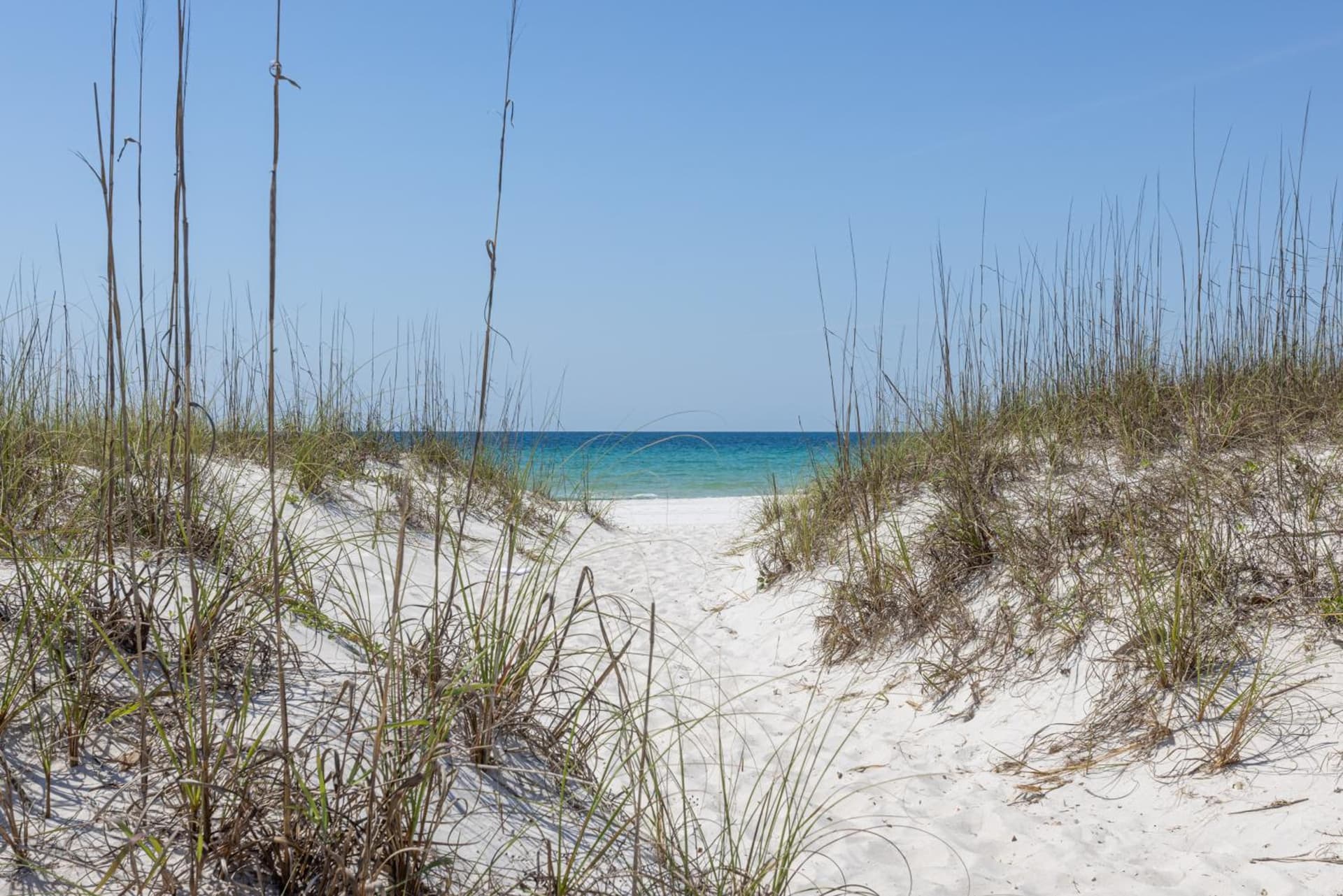 The Pensacola Beach Resort gallery photo in Pensacola Beach, FL — image 67