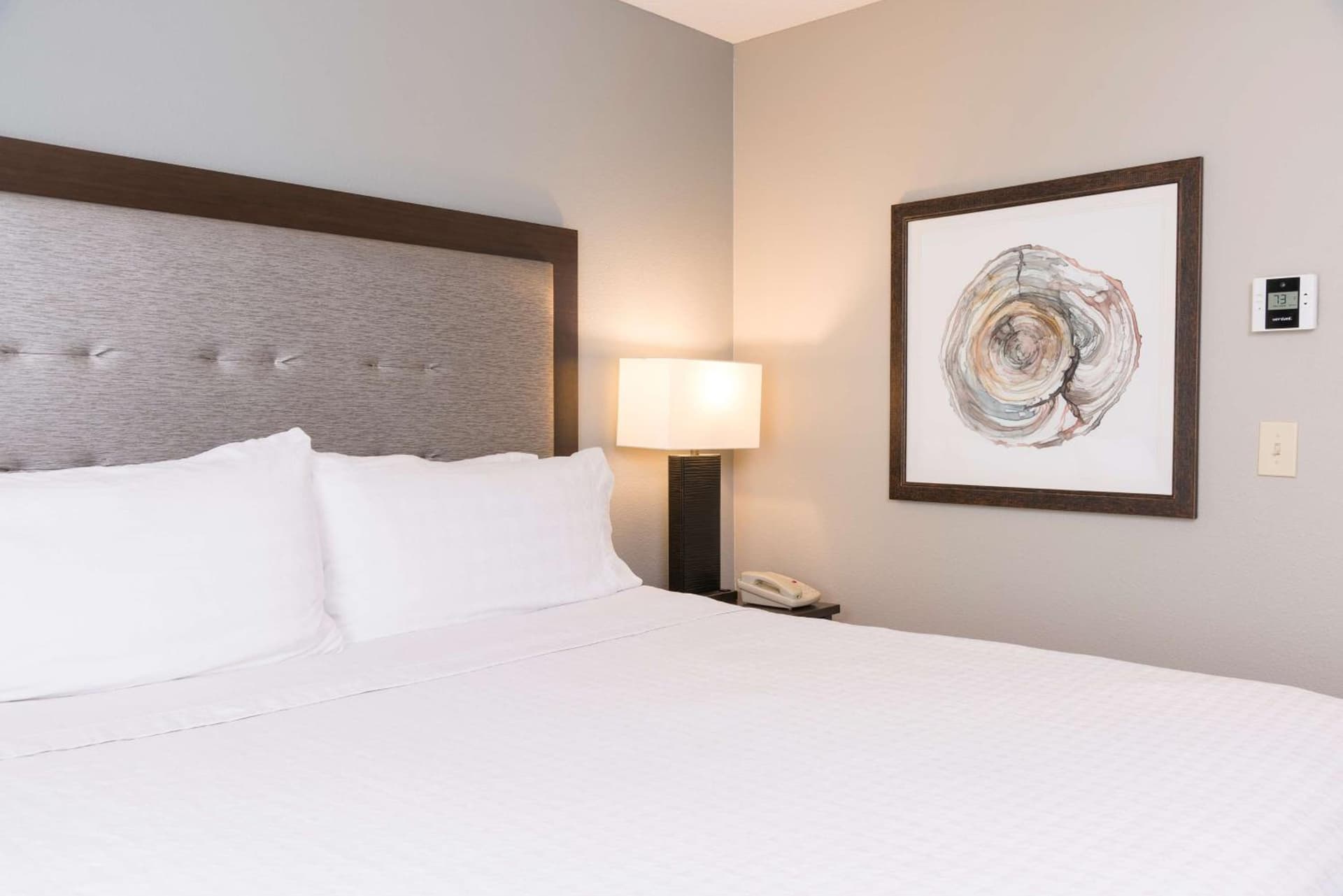Homewood Suites by Hilton Bloomington gallery photo in Bloomington, IN — image 9