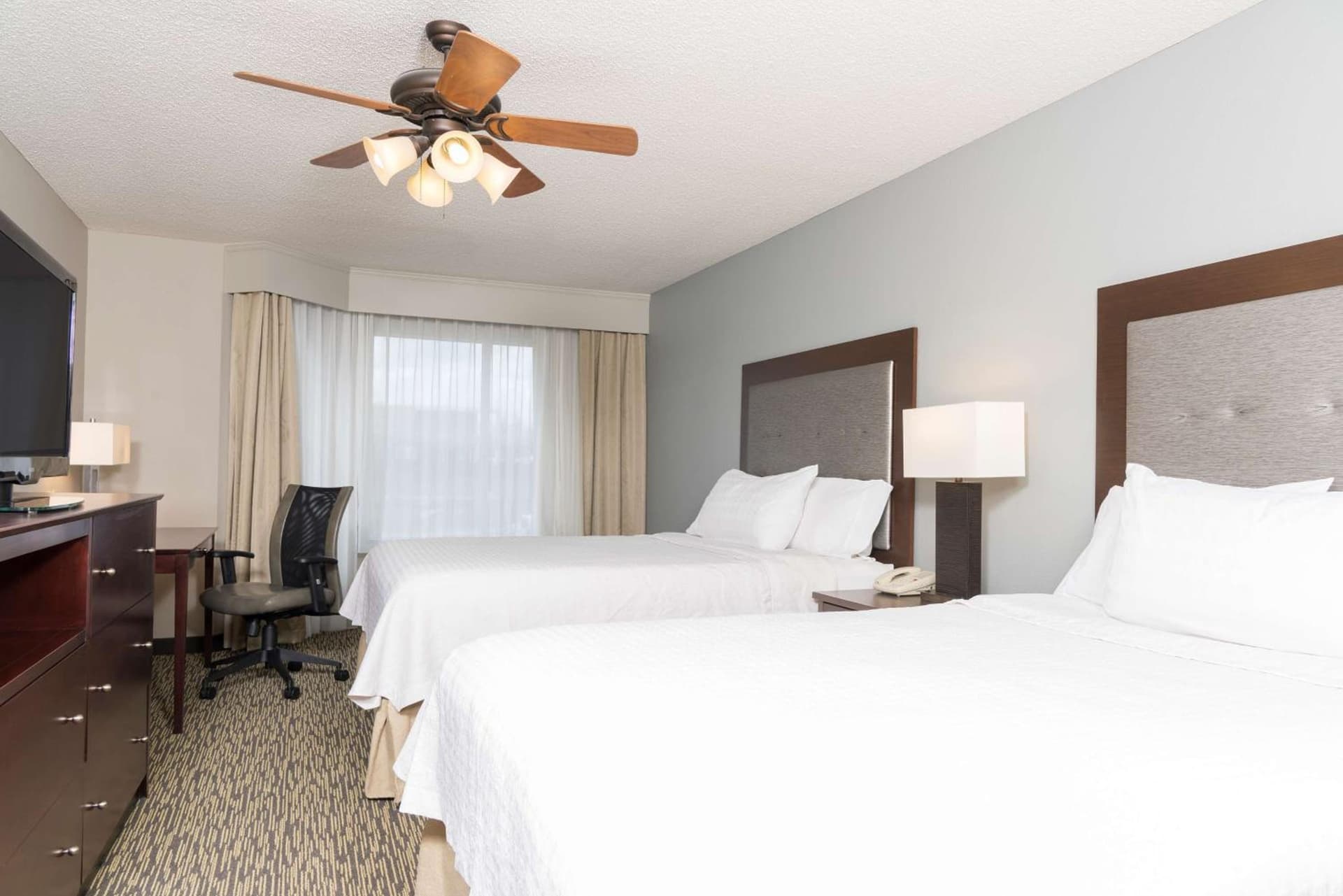 Homewood Suites by Hilton Bloomington gallery photo in Bloomington, IN — image 78