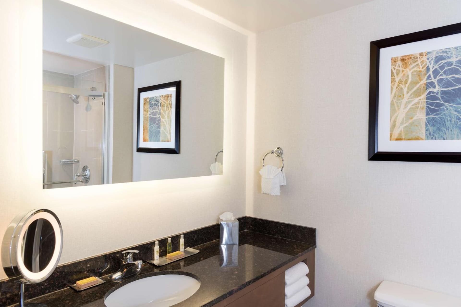 Doubletree by Hilton Pleasant Prairie Kenosha, WI gallery photo in Pleasant Prairie, WI — image 18