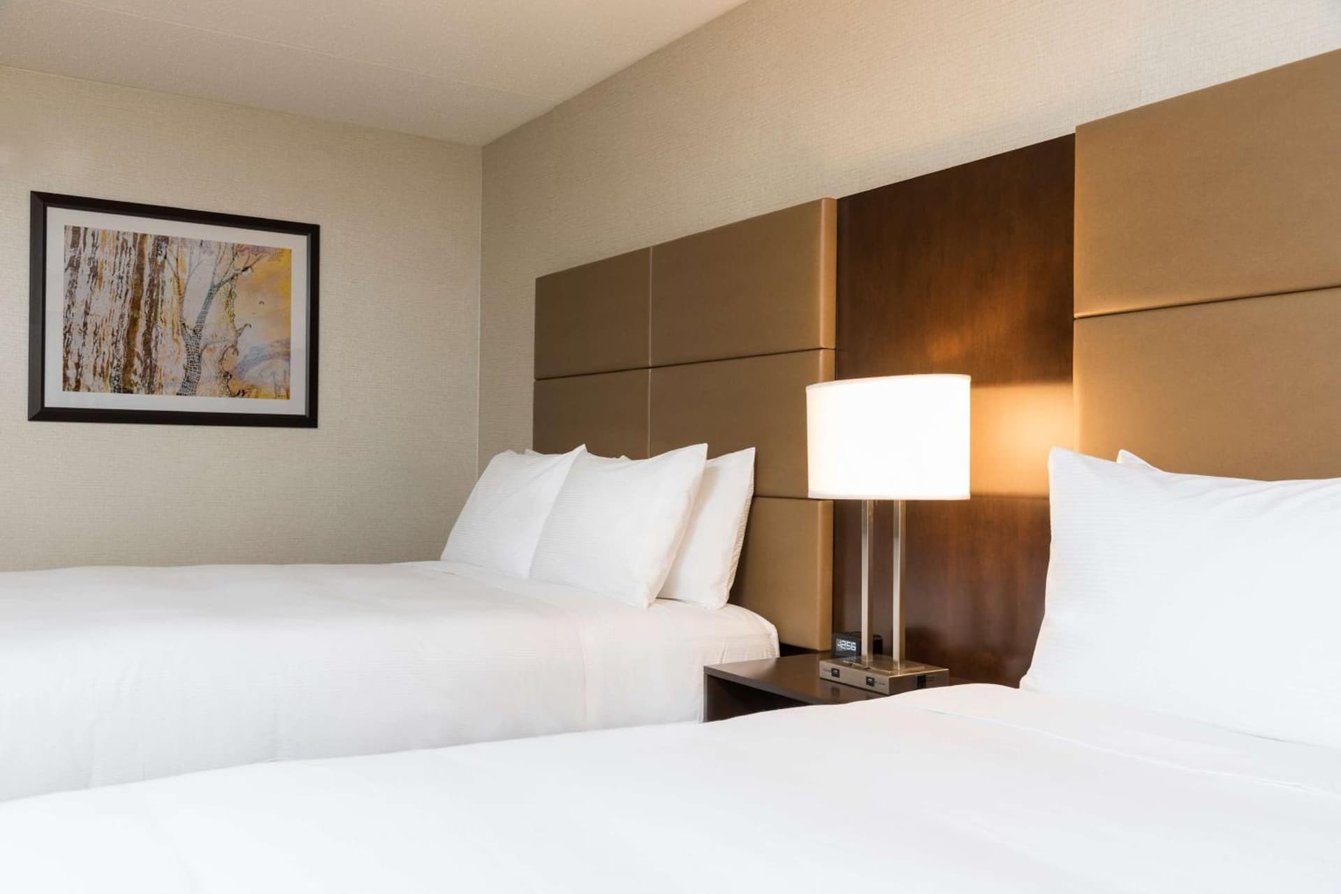 Doubletree by Hilton Pleasant Prairie Kenosha, WI interior in Pleasant Prairie, WI — gallery photo 2