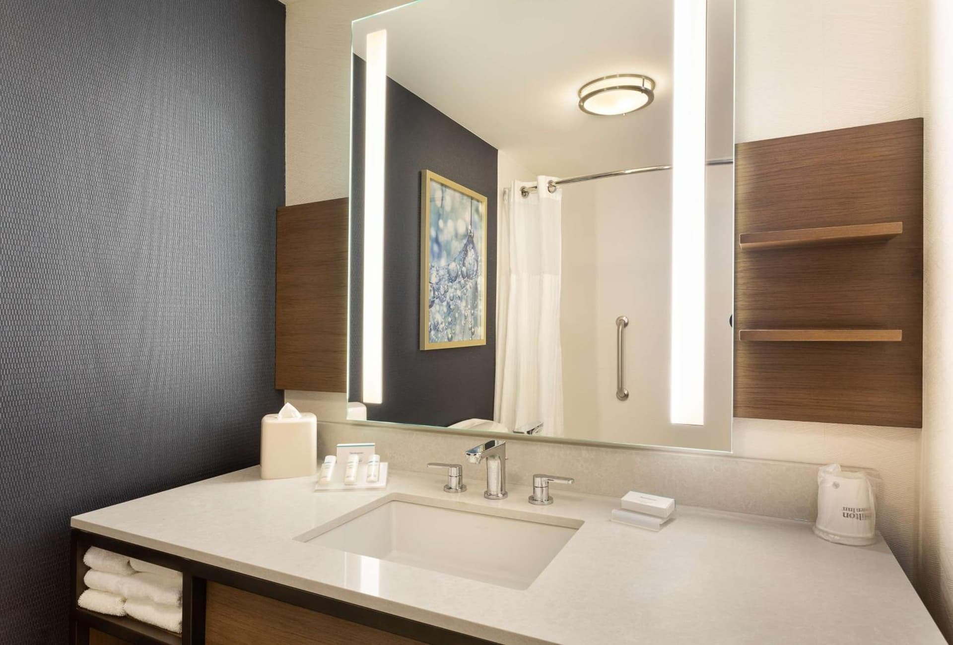 Hilton Garden Inn Melville gallery photo in Plainview, NY — image 9