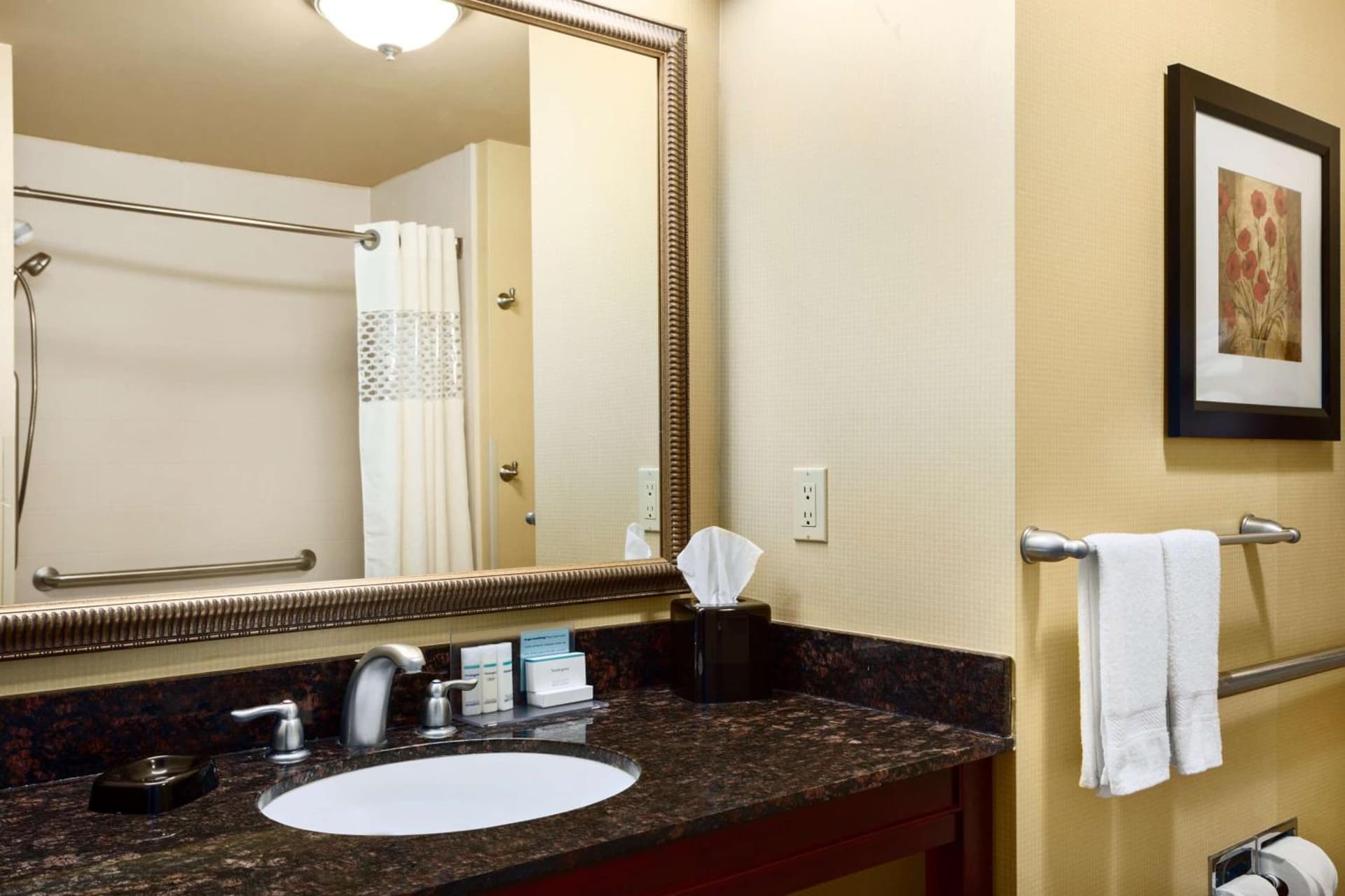 Hampton Inn & Suites Mission gallery photo in Mission, TX — image 9