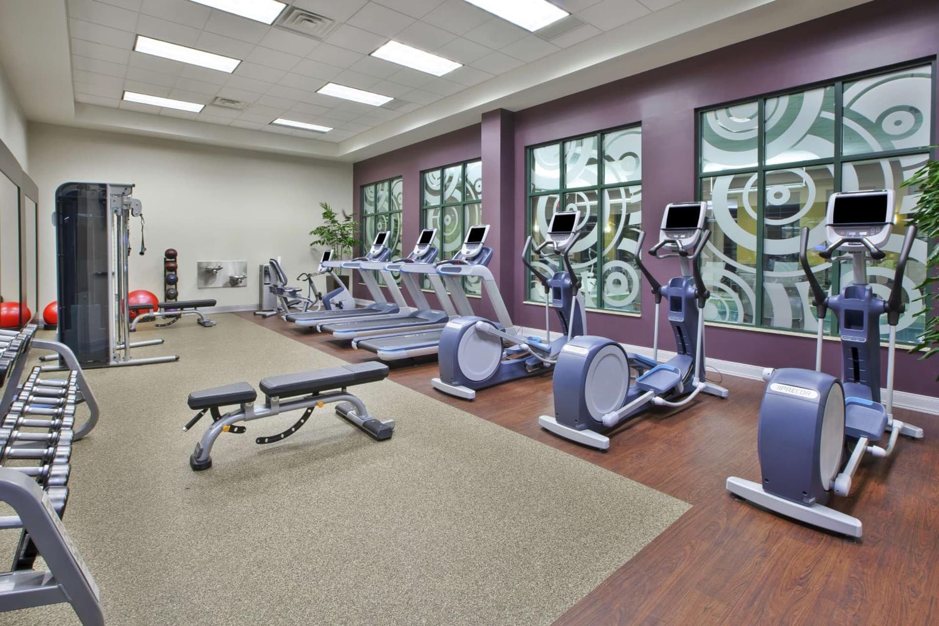 Embassy Suites Columbus - Airport gallery photo in Columbus, OH — image 39