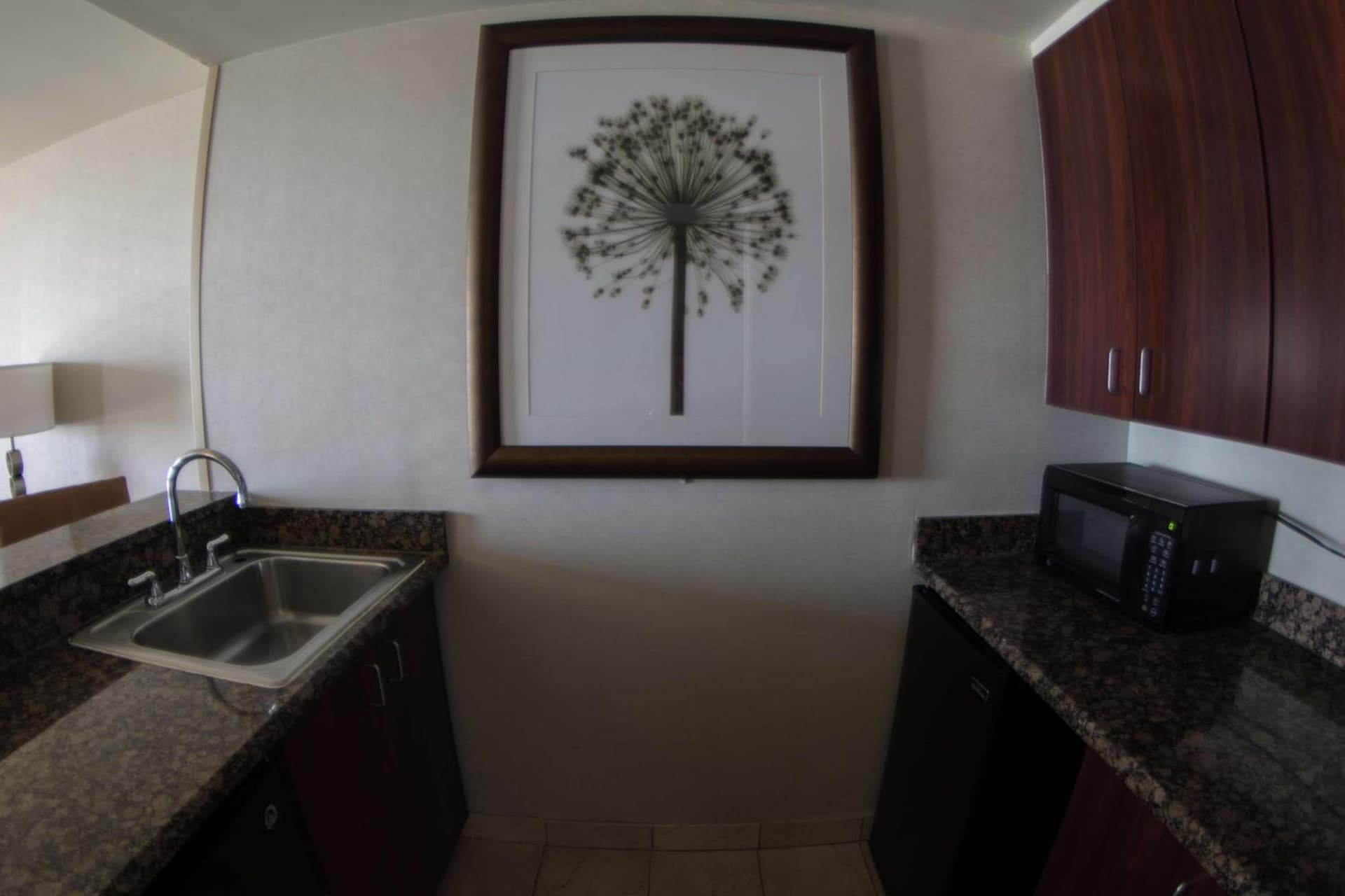 Wyndham Midland Downtown gallery photo in Midland, TX — image 14
