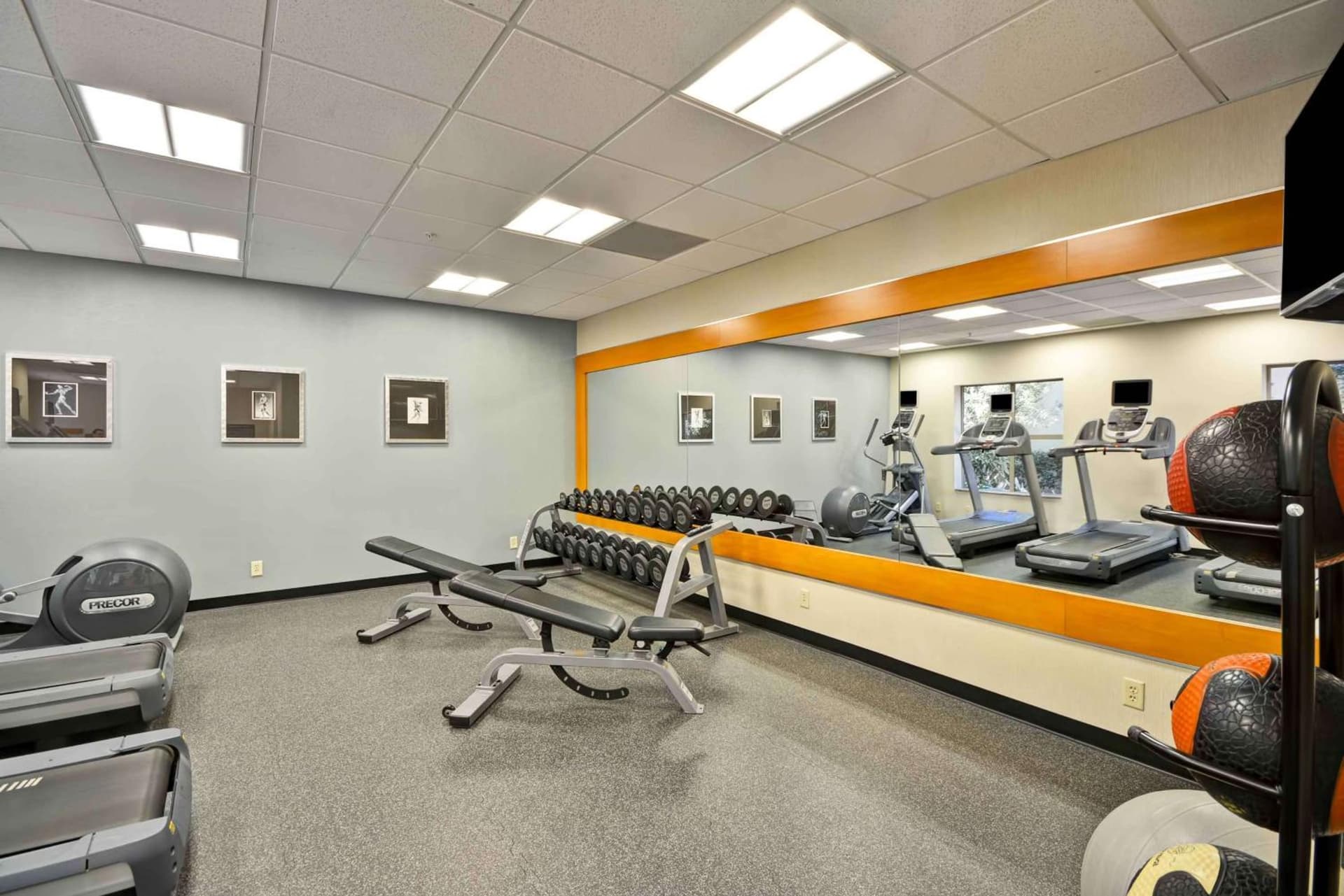 Homewood Suites Dallas-Frisco interior in Frisco, TX — gallery photo 2