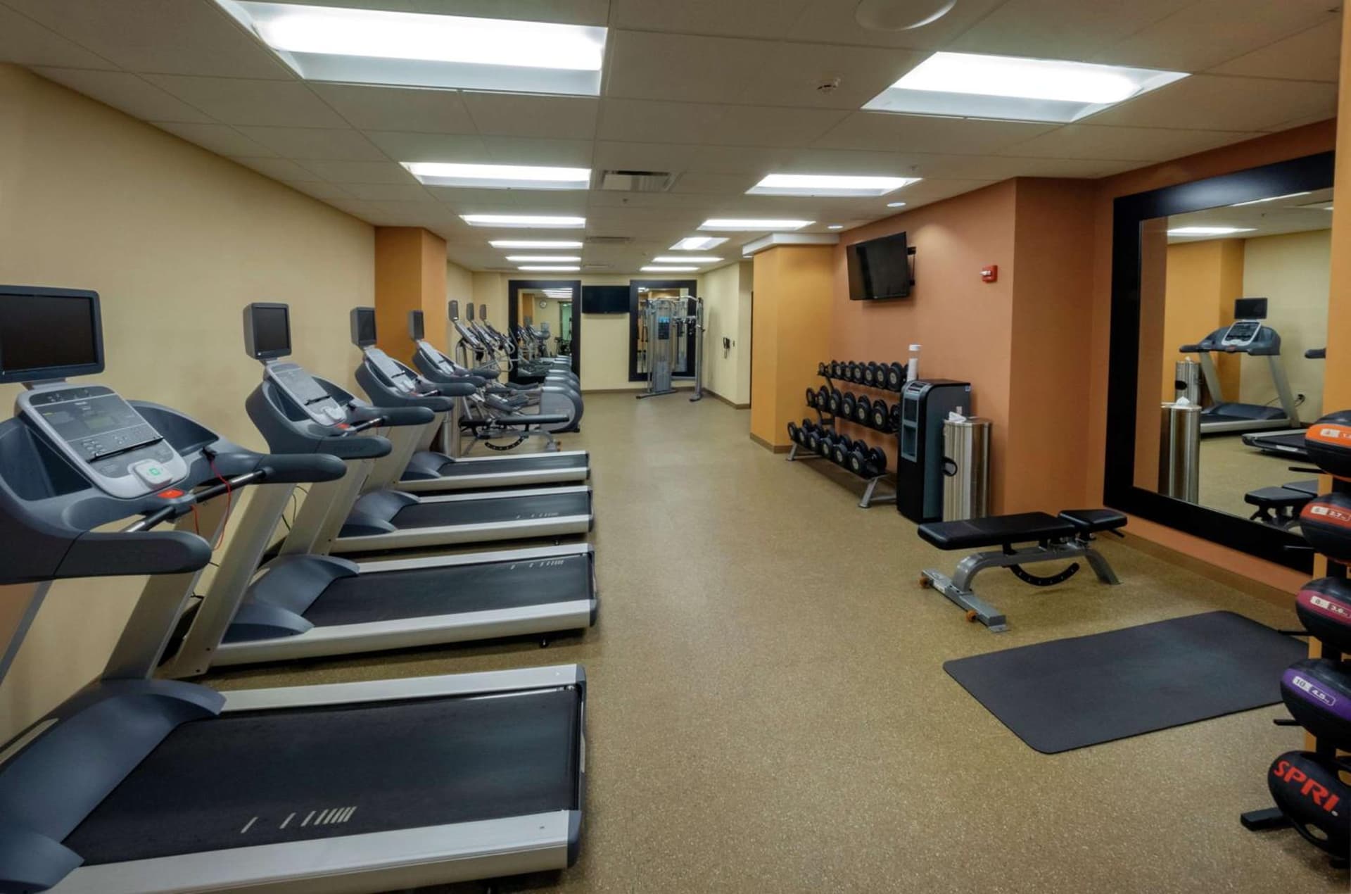 The Hilton Garden Inn Buffalo-Downtown gallery photo in Buffalo, NY — image 10