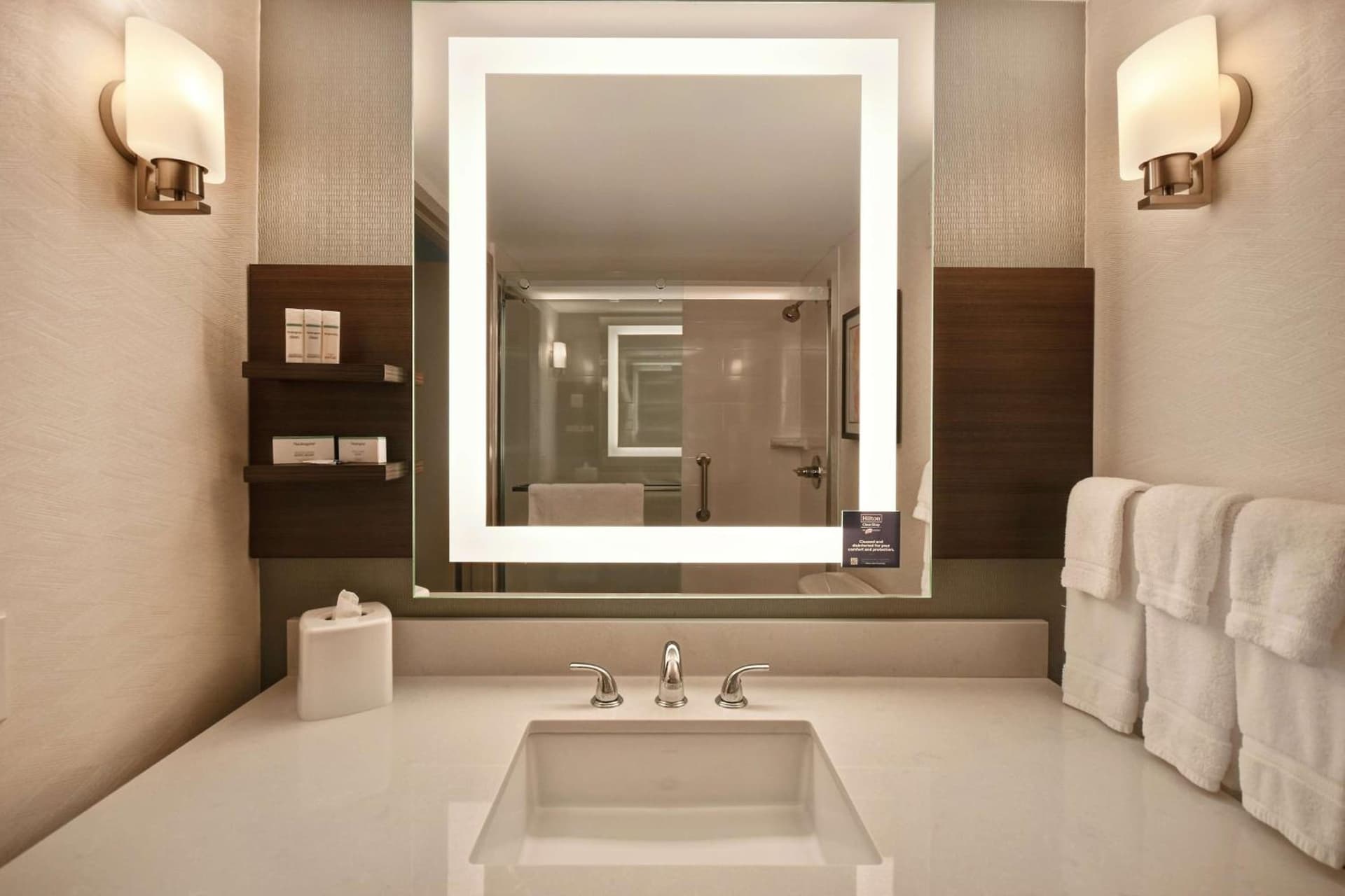 Hilton Garden Inn Detroit Metro Airport gallery photo in Romulus, MI — image 50