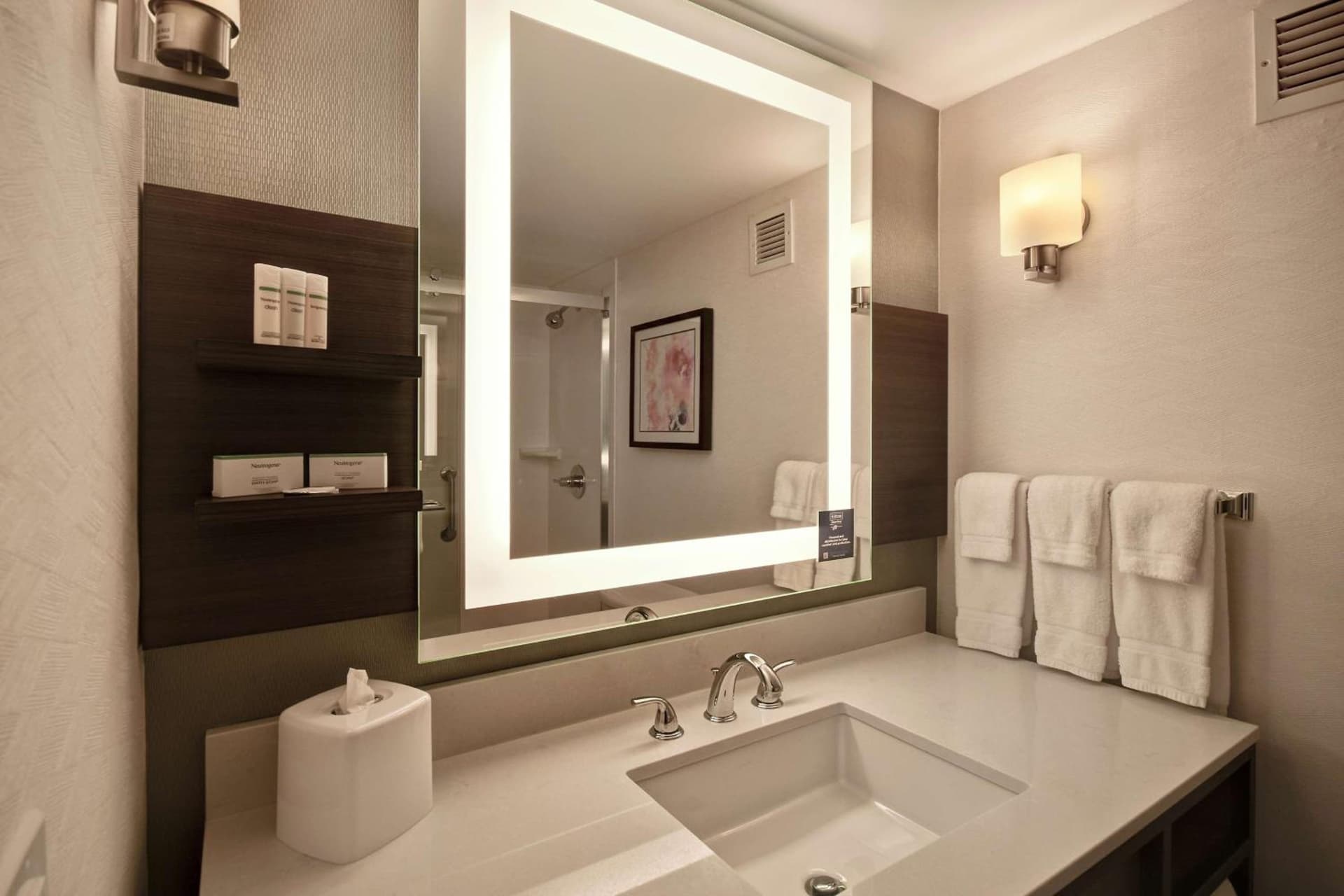 Hilton Garden Inn Detroit Metro Airport gallery photo in Romulus, MI — image 37