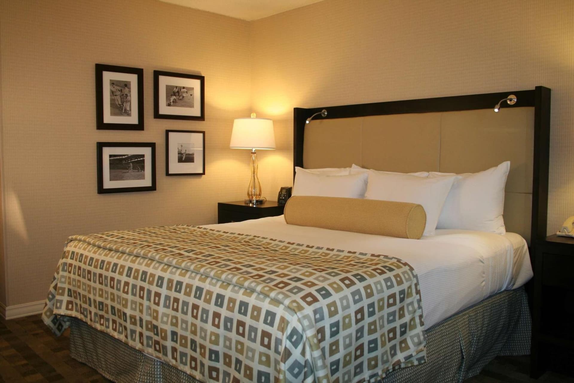 Hilton St. Louis at the Ballpark gallery photo in Saint Louis, MO — image 78